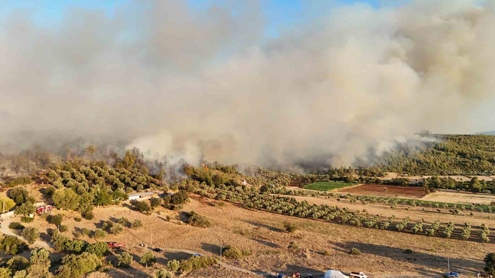 Milas’taki orman yangınına müdahale sürüyor
