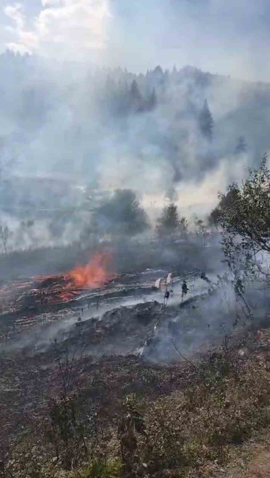 Karabük’teki yangınlara müdahale devam ediyor
