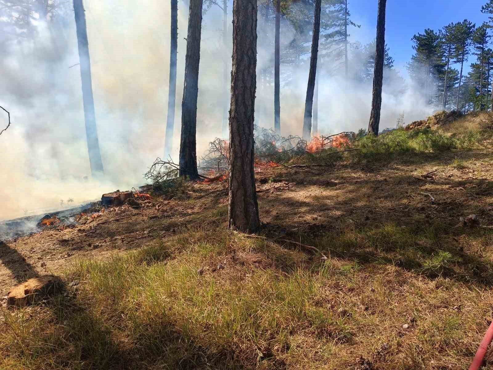 Karabük’teki yangınlara müdahale devam ediyor
