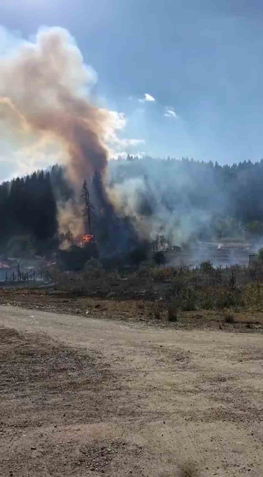 Karabük’teki yangınlara müdahale devam ediyor
