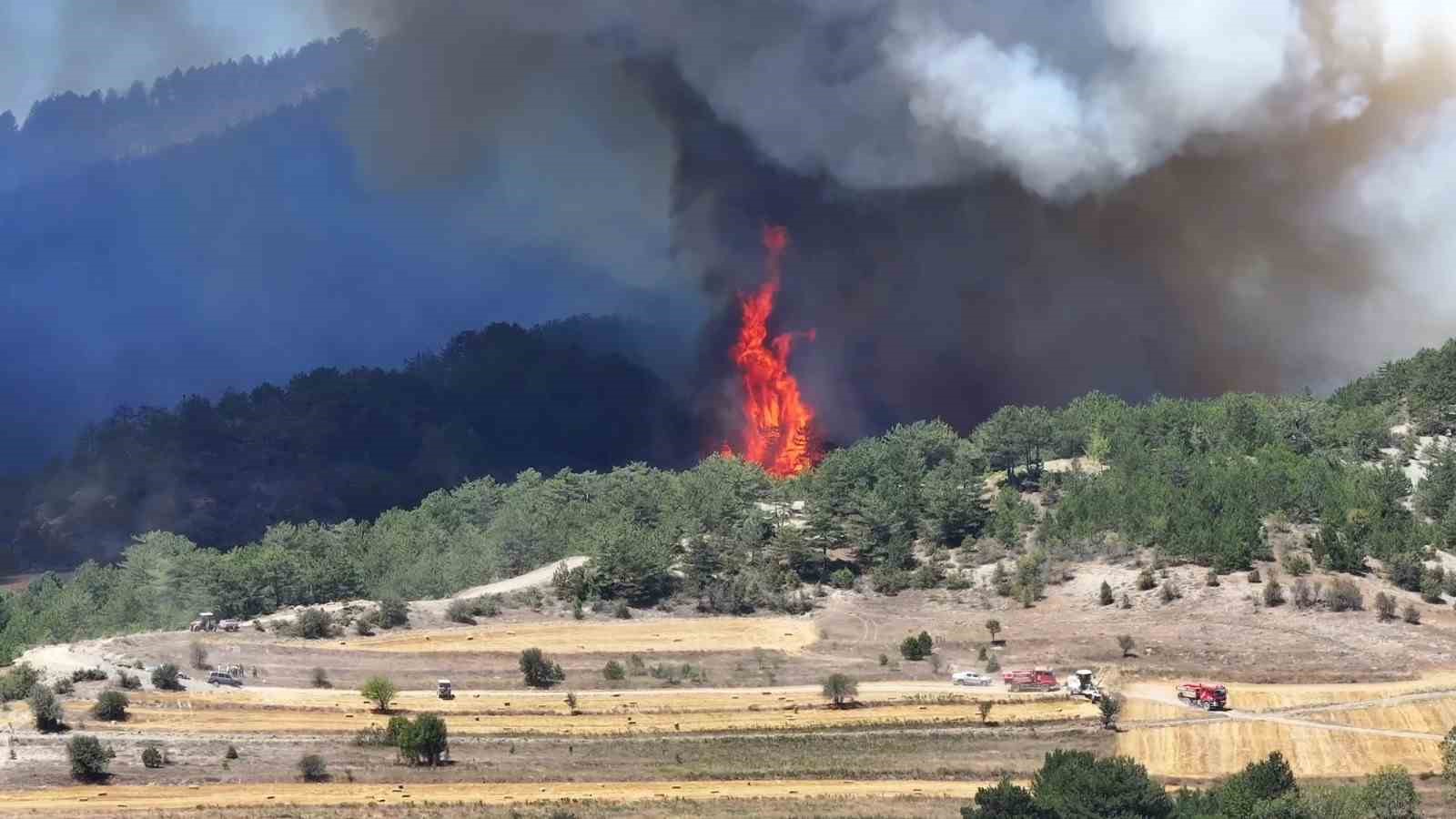 Bolu’daki orman yangını 2’nci gecesinde
