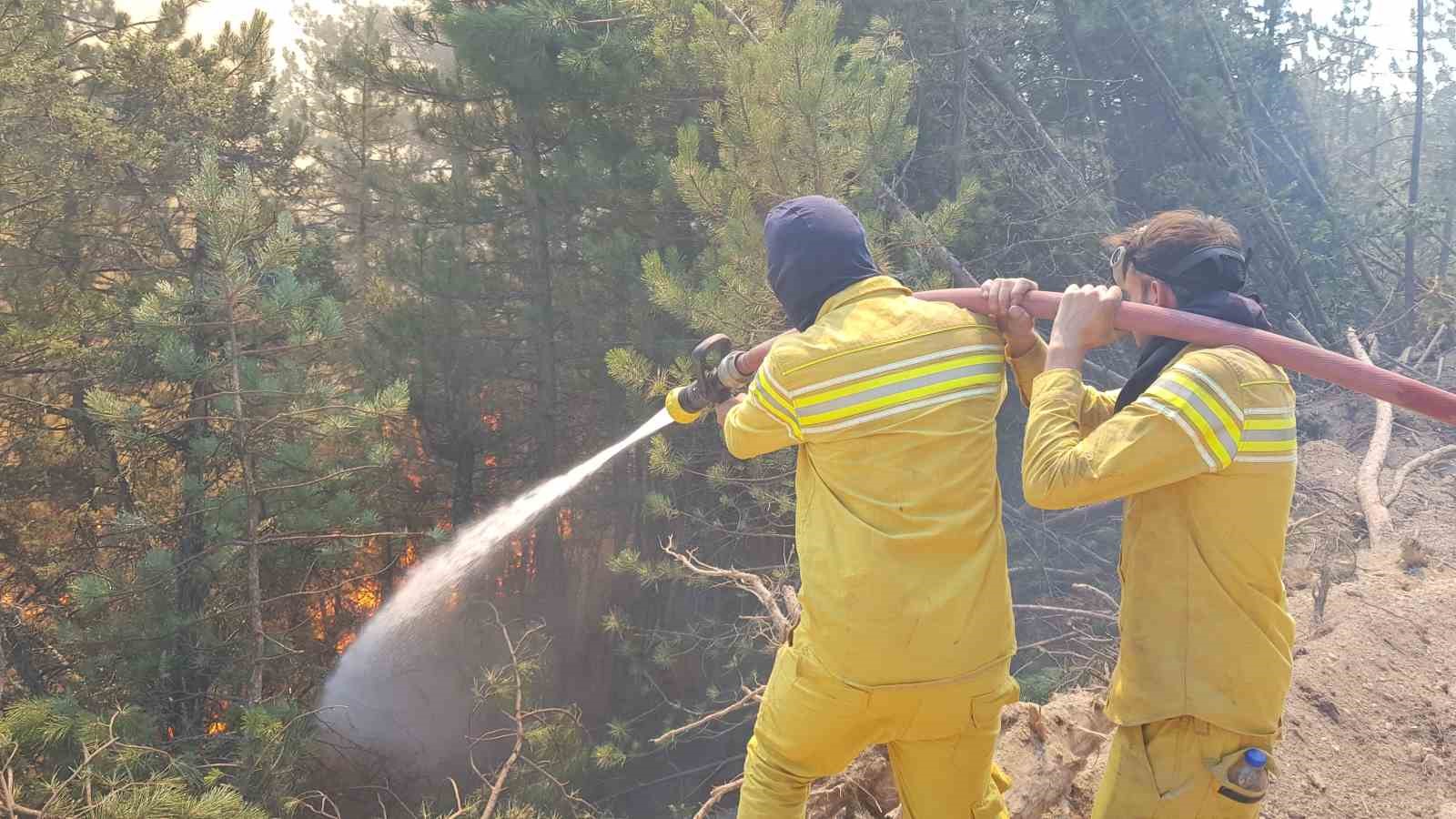 Karabük’teki orman yangını rüzgarın etkisiyle yayılıyor
