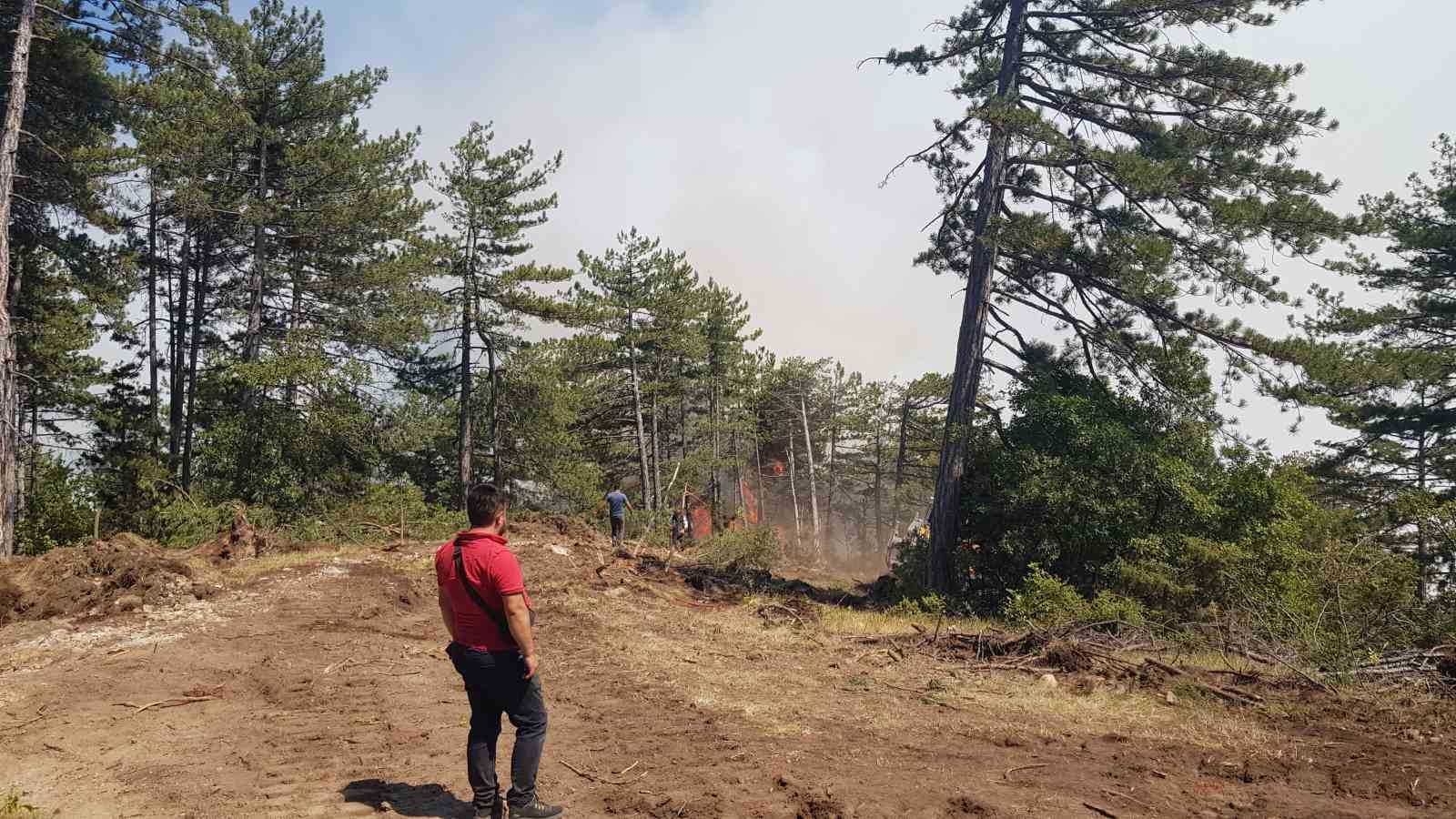 Karabük’teki orman yangını rüzgarın etkisiyle yayılıyor
