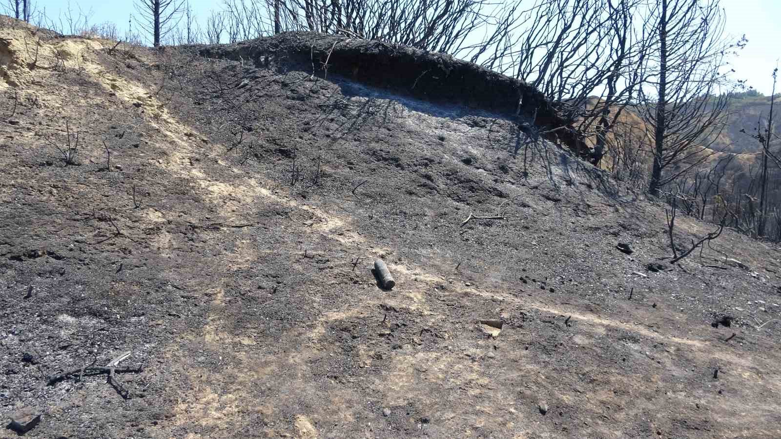 Tarihi Alan’daki orman yangını sonrası Çanakkale Savaşları’ndan kalma top mermisi ortaya çıktı
