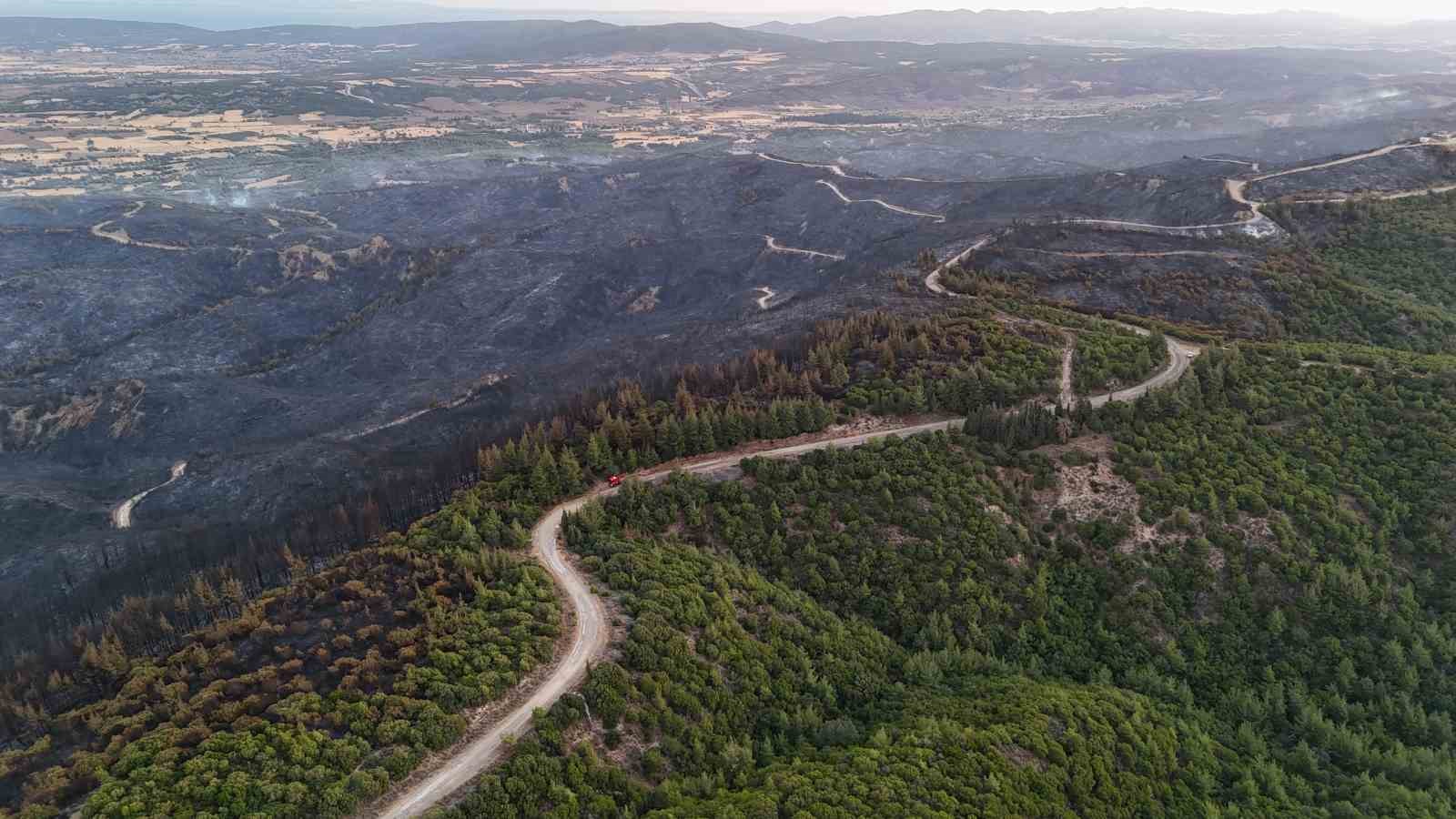 Tarihi Alan’daki orman yangını sonrası Çanakkale Savaşları’ndan kalma top mermisi ortaya çıktı
