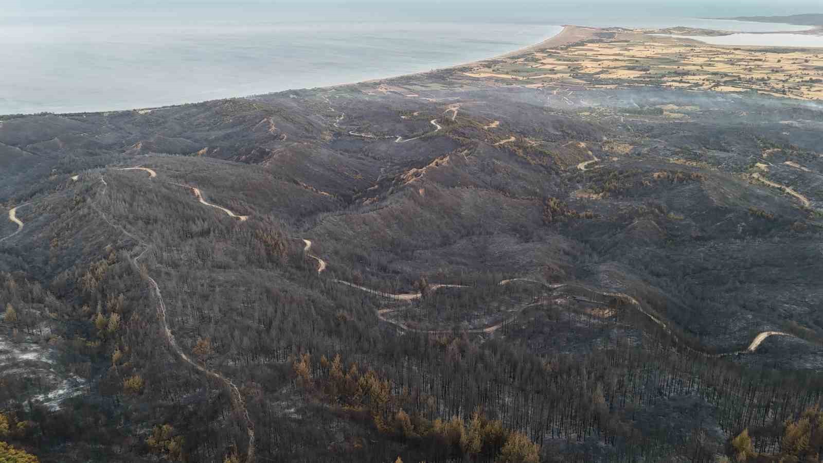 Tarihi Alan’daki orman yangını sonrası Çanakkale Savaşları’ndan kalma top mermisi ortaya çıktı
