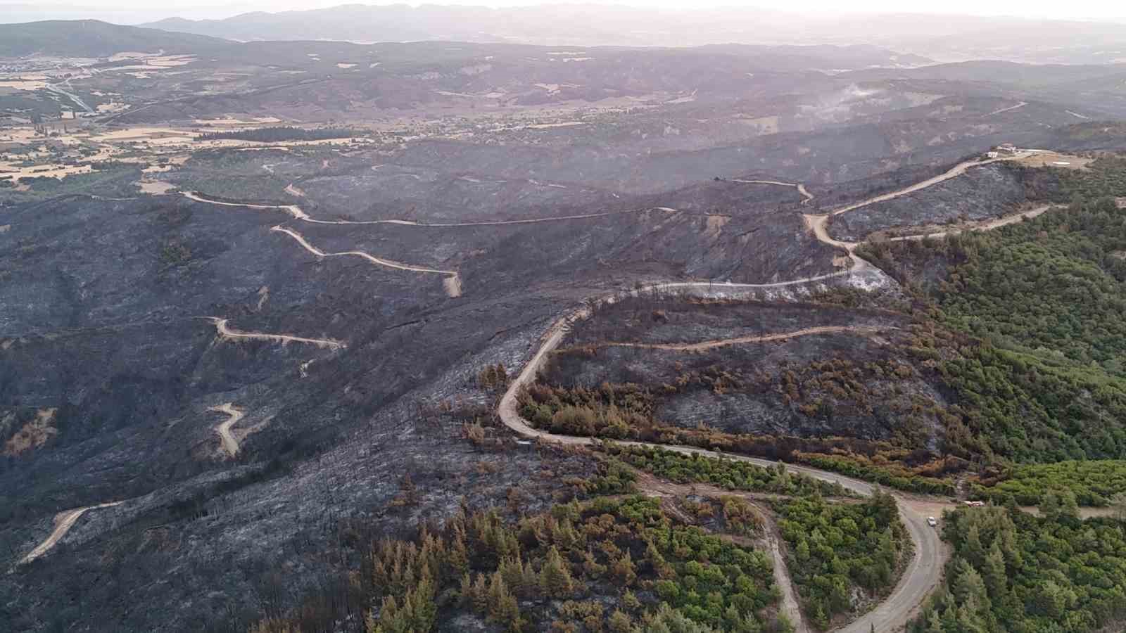 Tarihi Alan’daki orman yangını sonrası Çanakkale Savaşları’ndan kalma top mermisi ortaya çıktı
