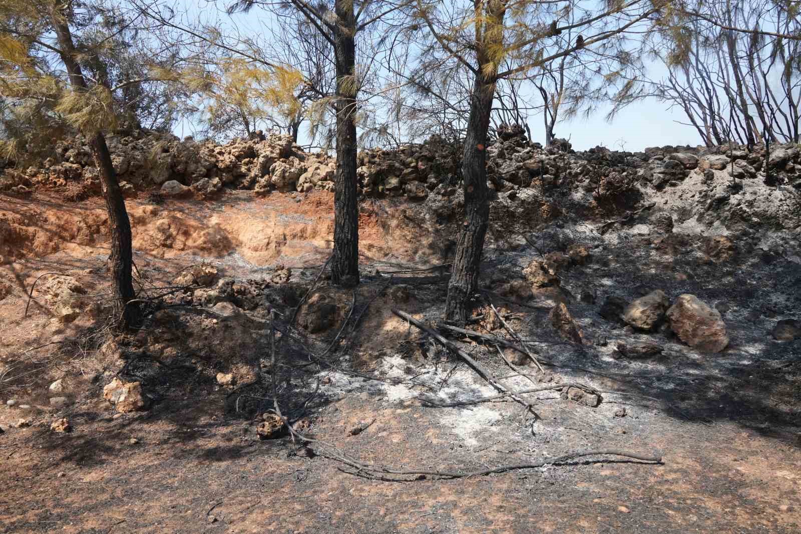 Kırsal alanda çıkan yangın 3 sera ve ormanlık alana zarar verdi
