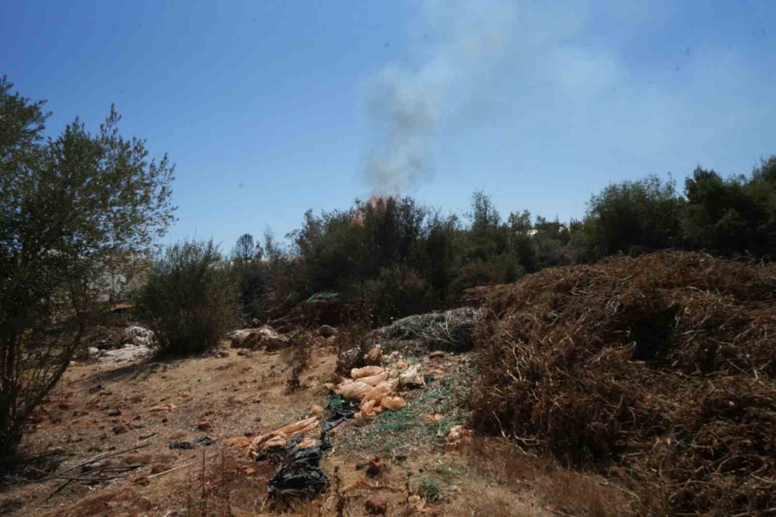 Kırsal alanda çıkan yangın 3 sera ve ormanlık alana zarar verdi
