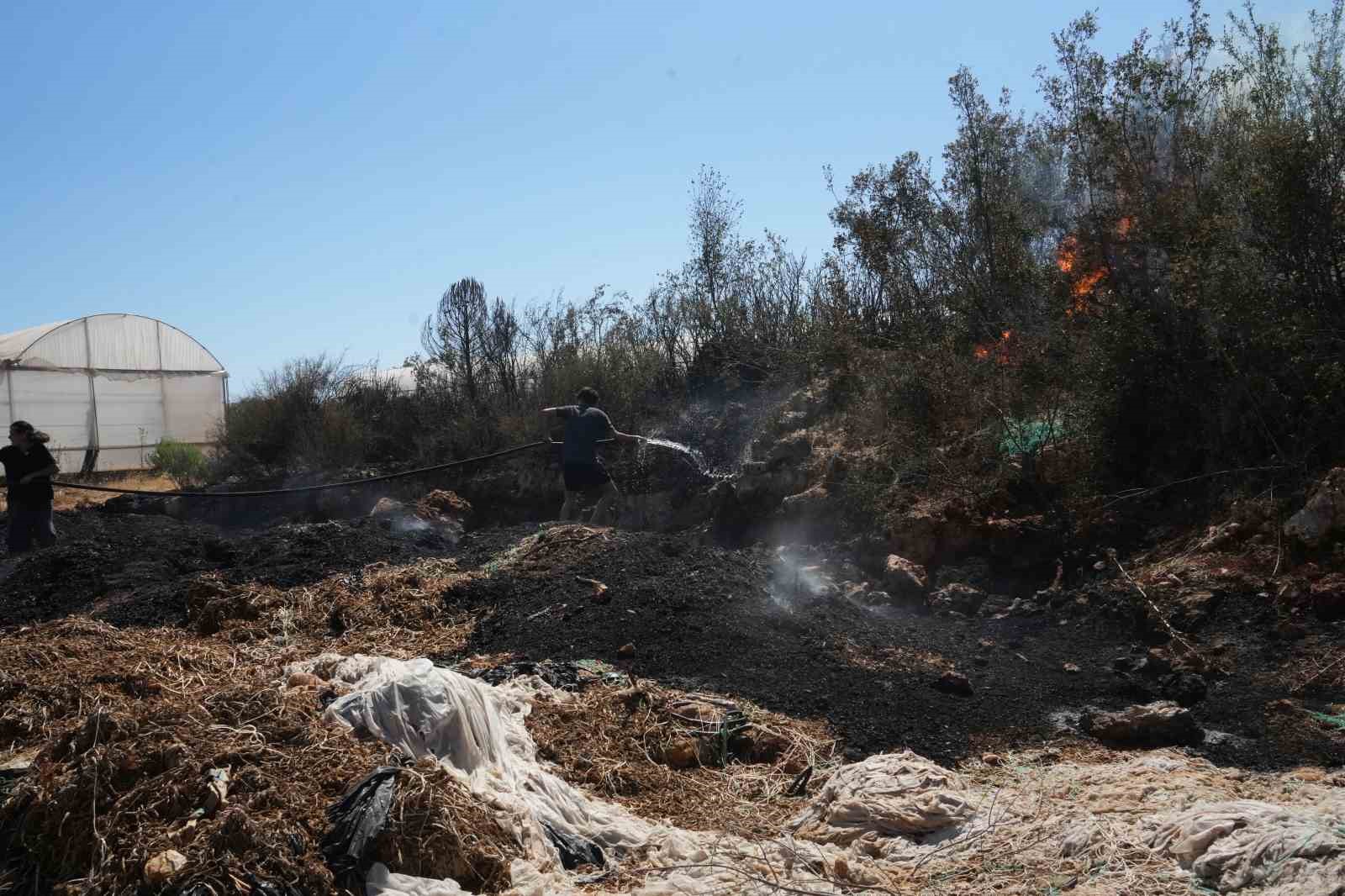 Kırsal alanda çıkan yangın 3 sera ve ormanlık alana zarar verdi
