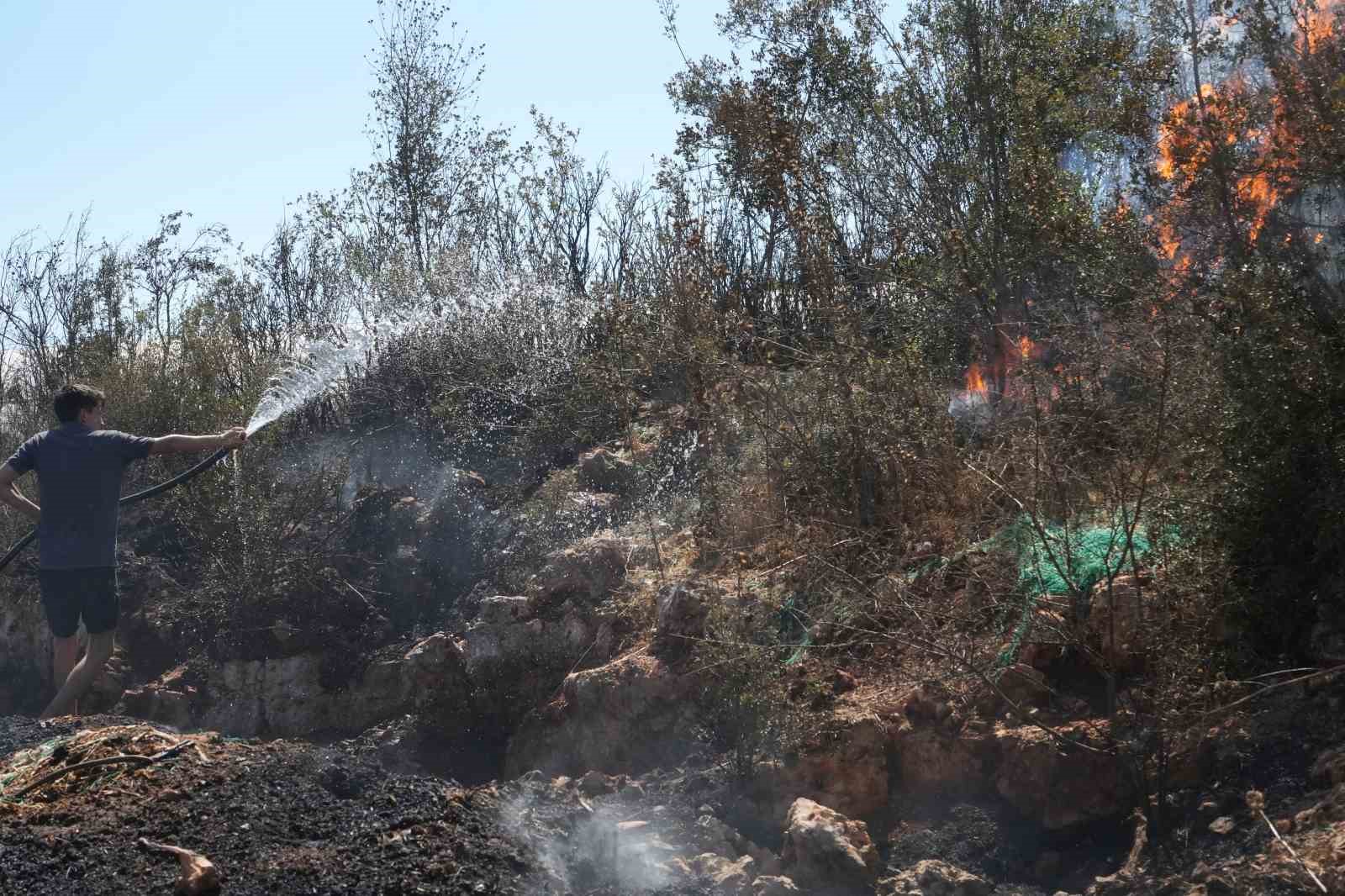 Kırsal alanda çıkan yangın 3 sera ve ormanlık alana zarar verdi
