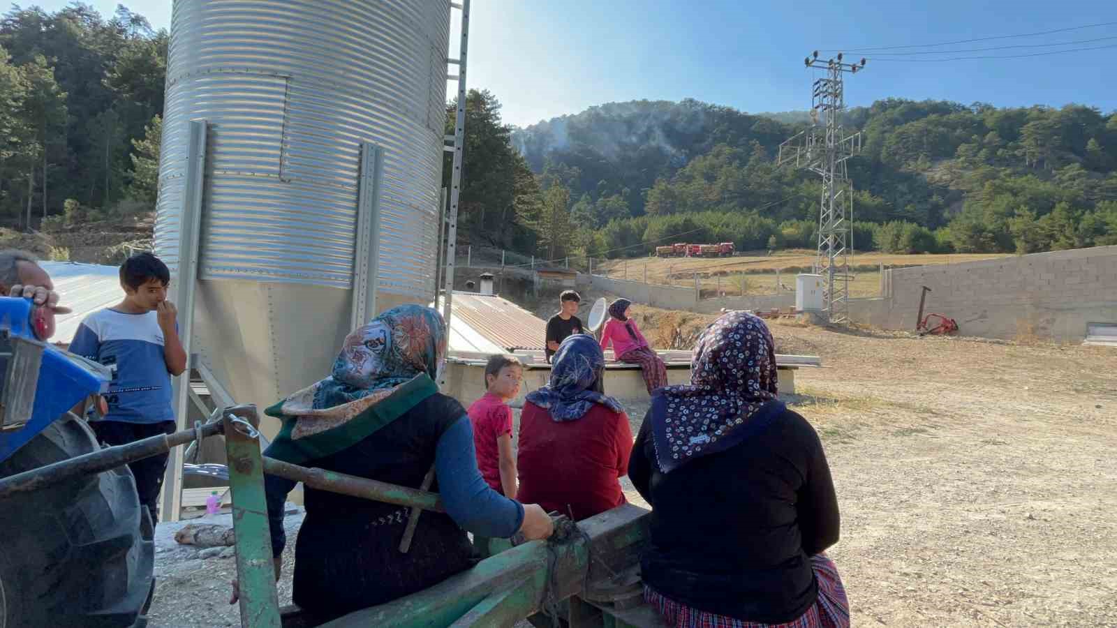 Vatandaşlar gece gündüz tetikte: Korkudan uyuyamıyorlar
