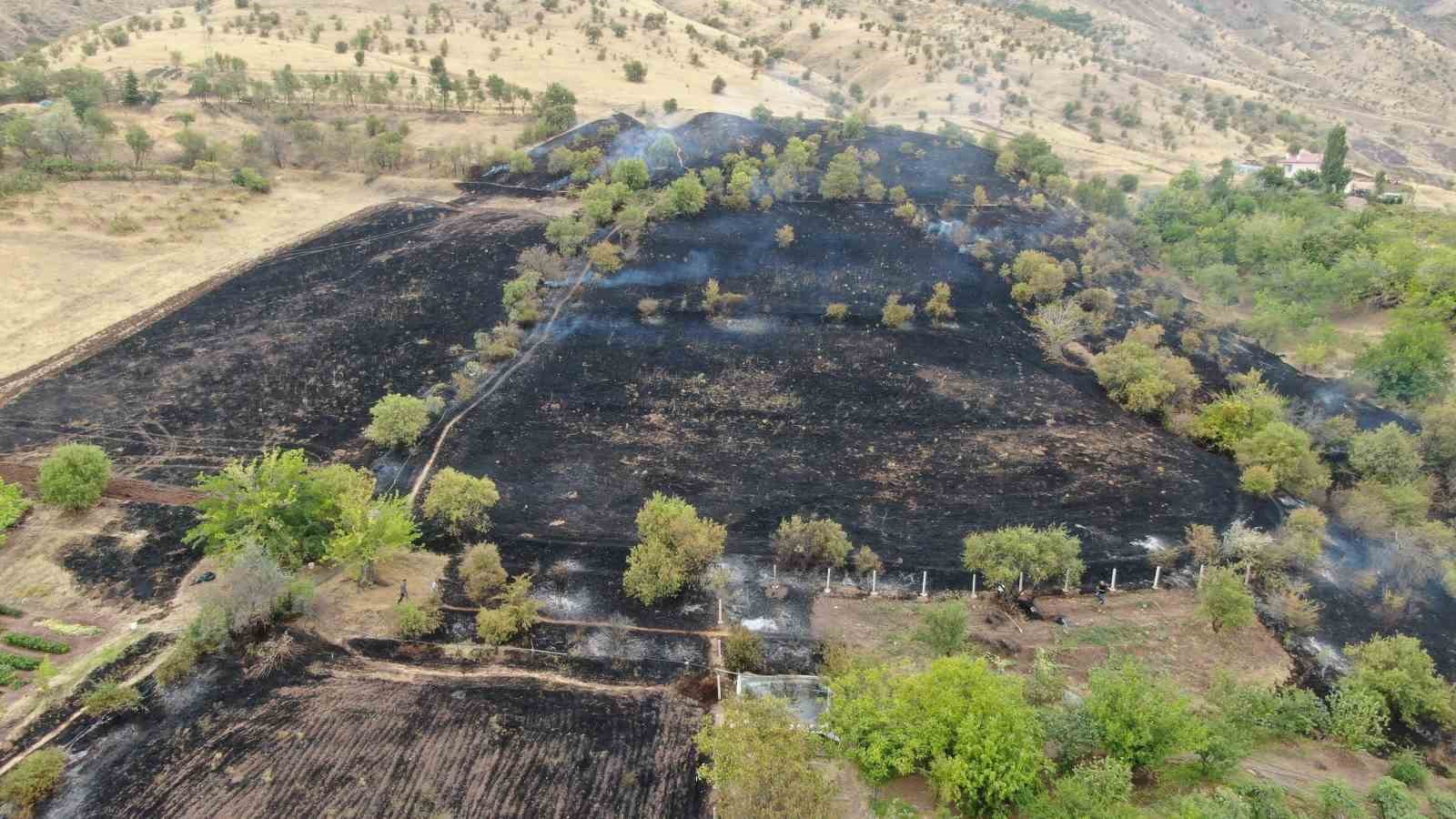 Elazığ’da 200 dönüm alan yangında kül oldu
