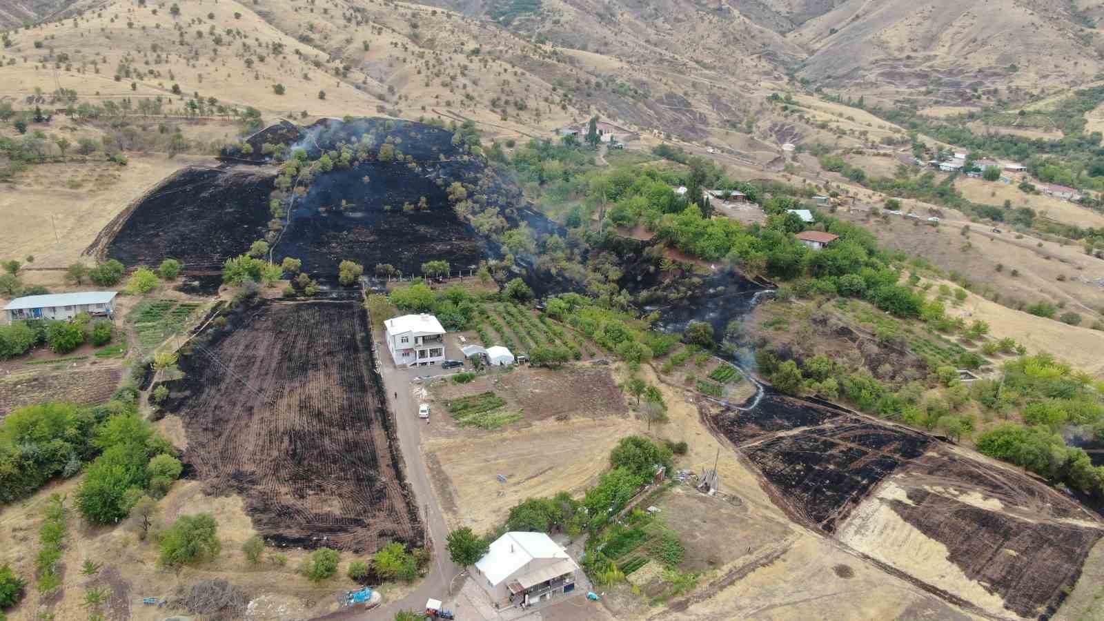 Elazığ’da 200 dönüm alan yangında kül oldu
