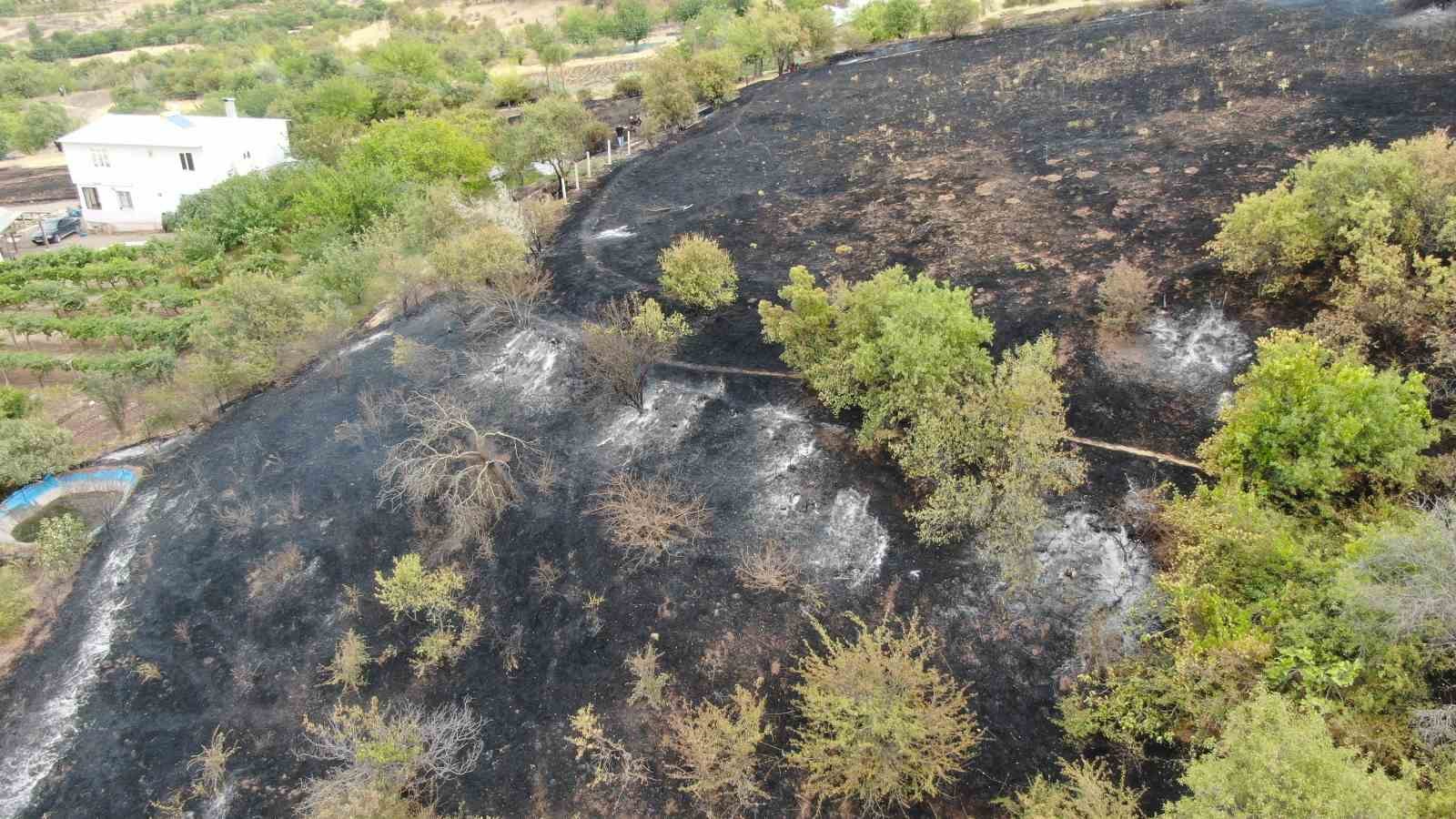 Elazığ’da 200 dönüm alan yangında kül oldu
