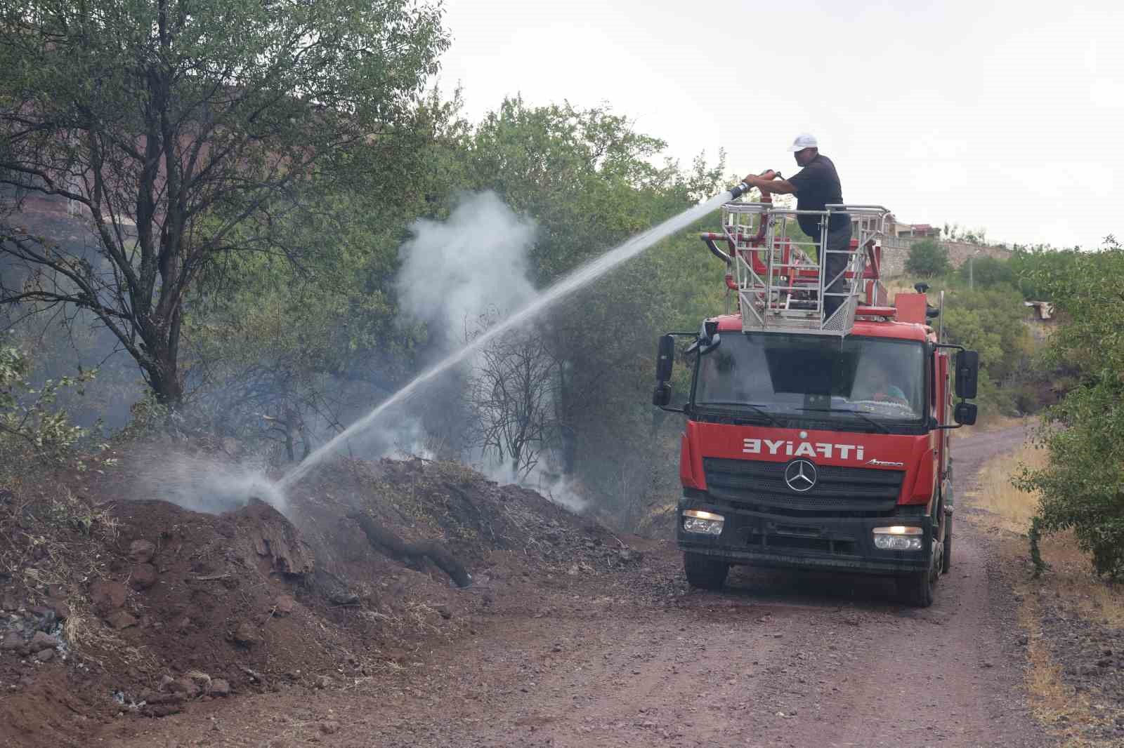 Elazığ’da 200 dönüm alan yangında kül oldu
