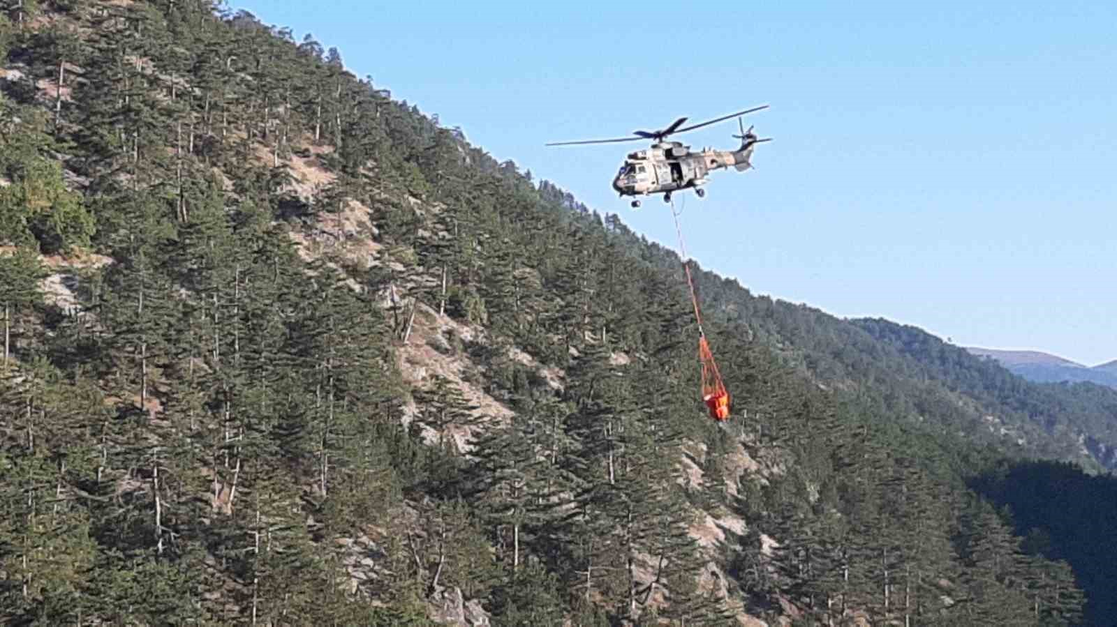 Bolu’daki orman yangınına havadan müdahale yeniden başladı
