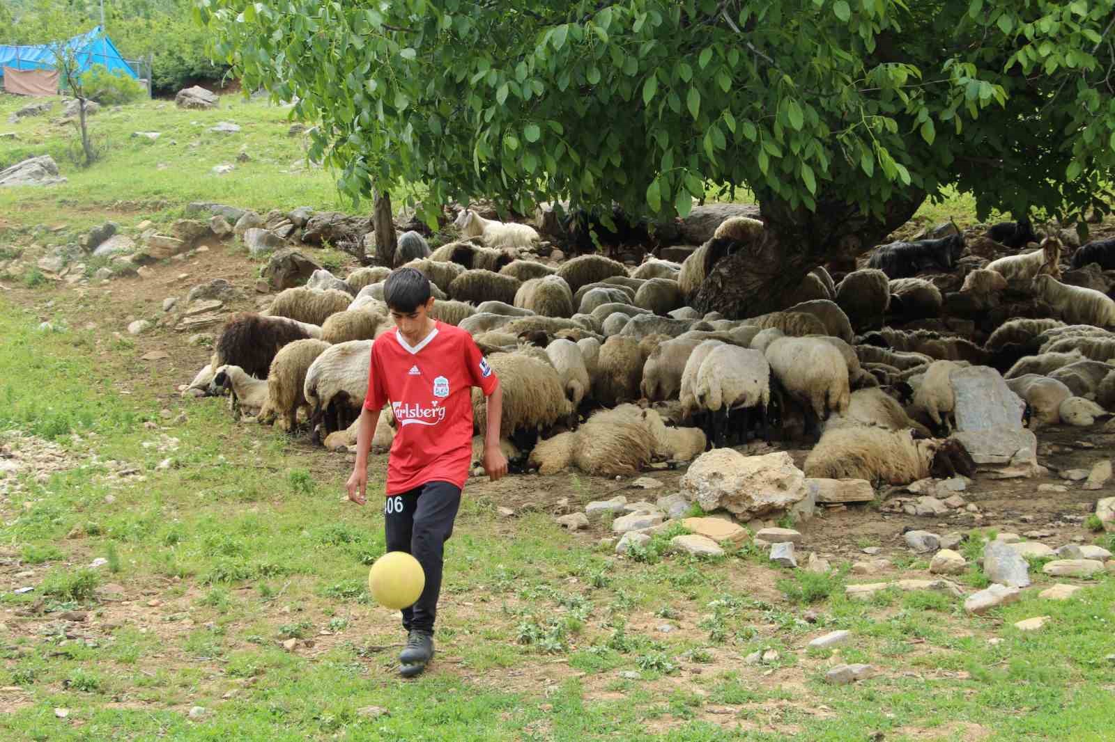 İHA’nın haberinden sonra tanındı: Çobanlıktan sahalara
