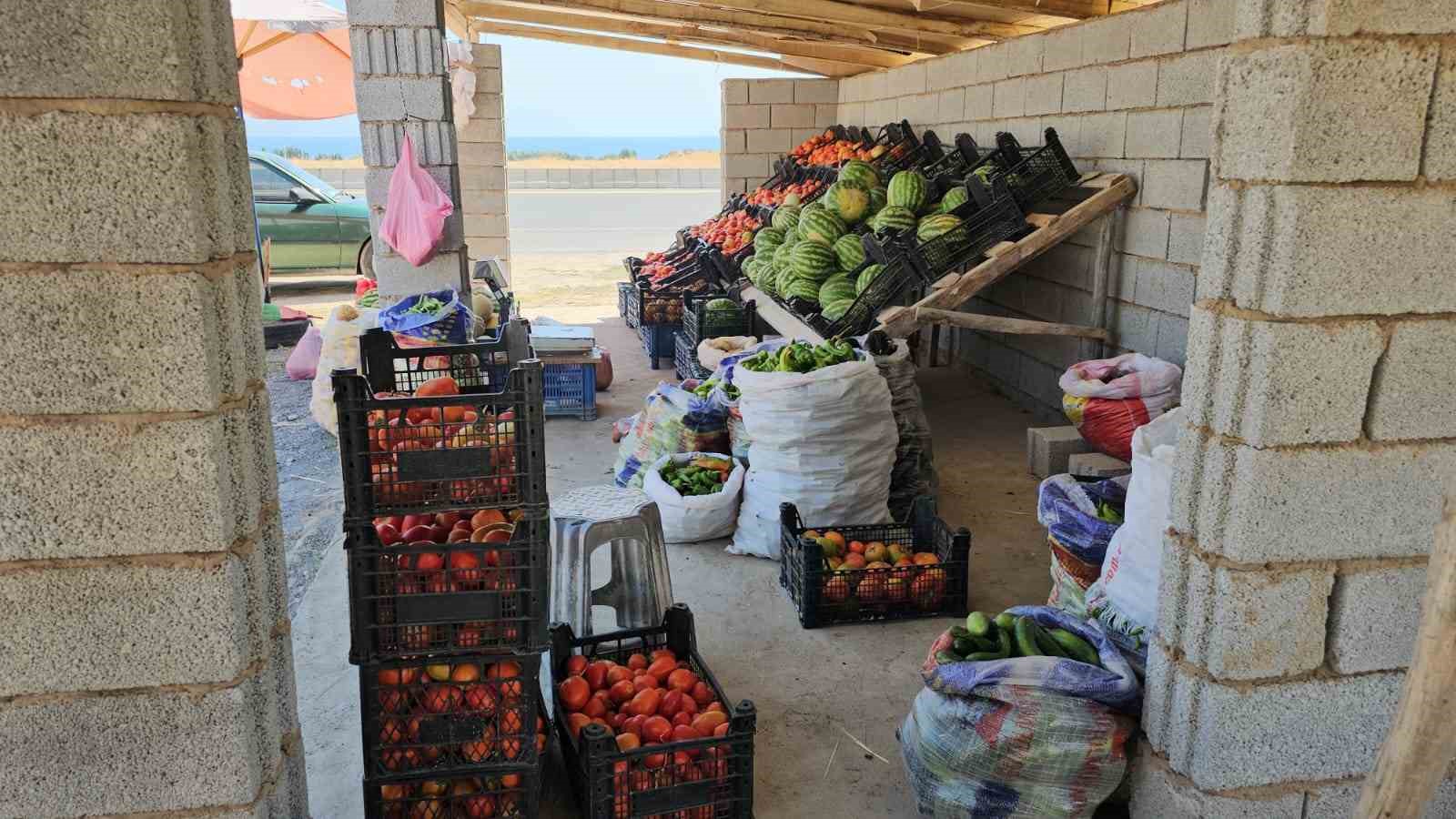 Yetiştirdiği ürünleri satarak aile bütçesine katkıda bulunuyor
