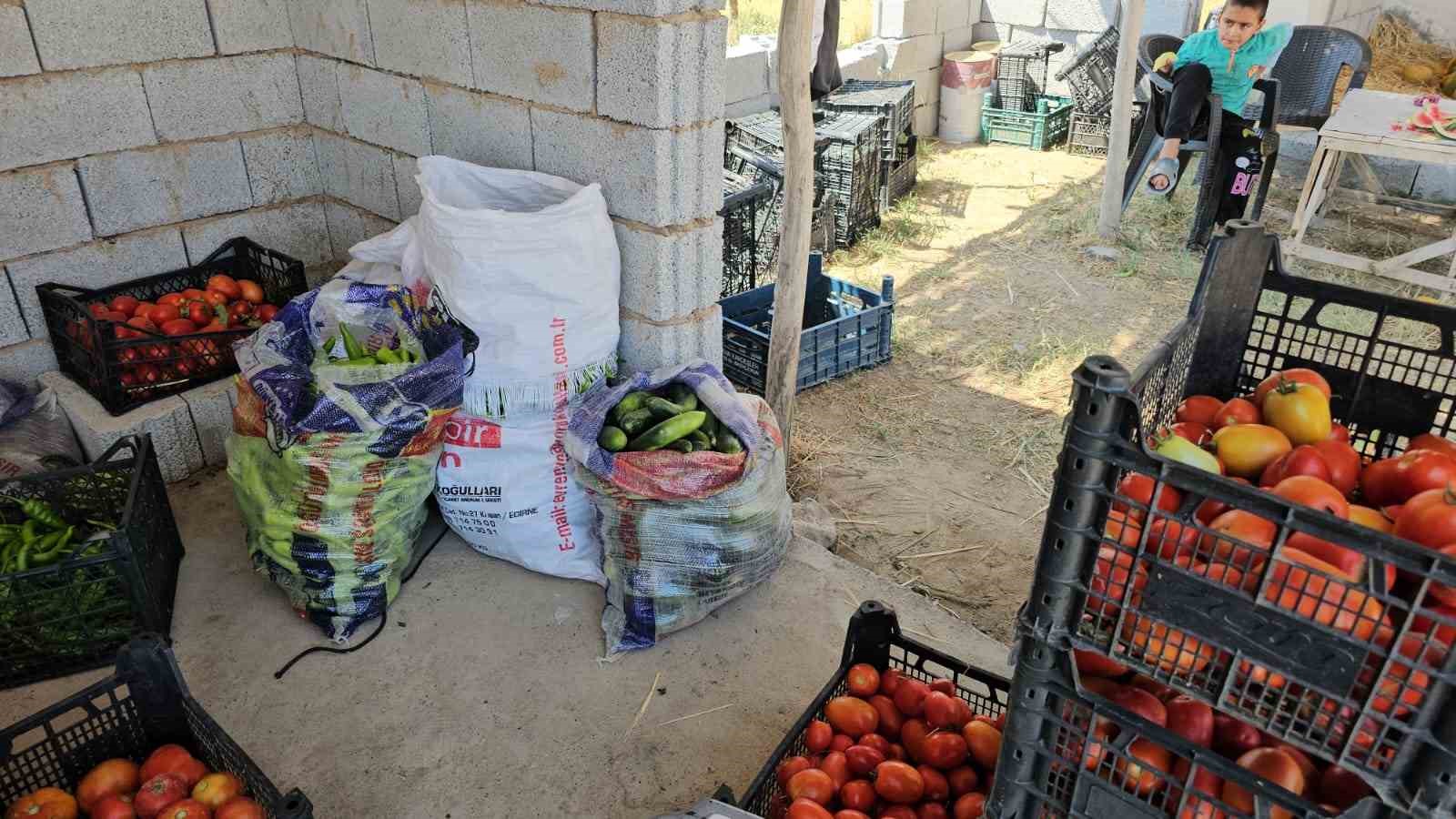 Yetiştirdiği ürünleri satarak aile bütçesine katkıda bulunuyor
