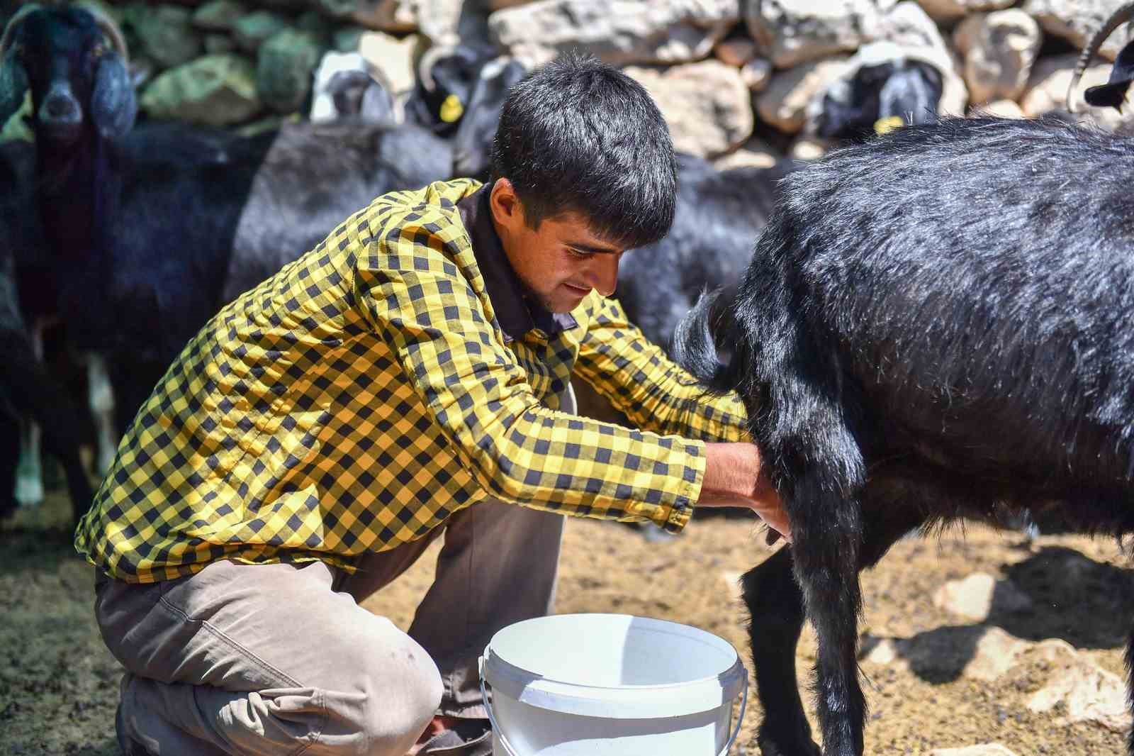 Yörük çadırından üniversiteye uzanan başarı hikayesi
