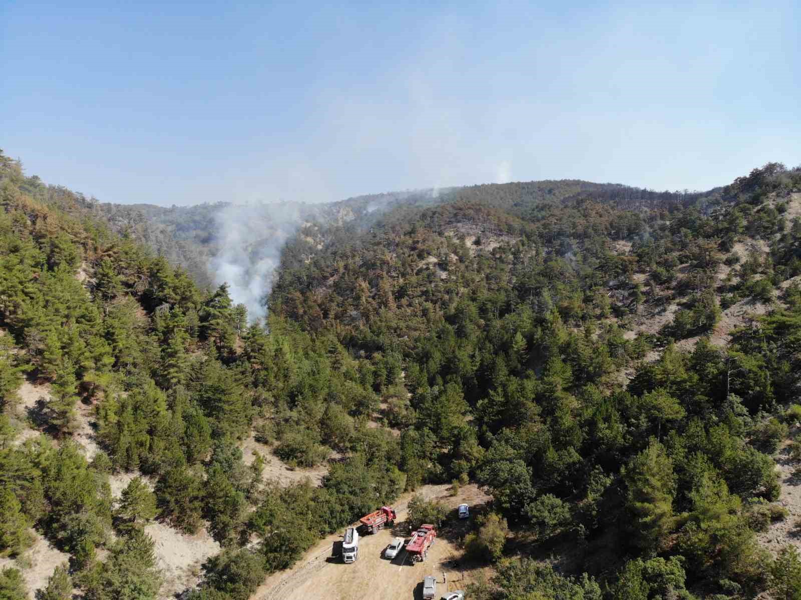 Bolu’daki orman yangını 72 saatin ardından kontrol altına alındı
