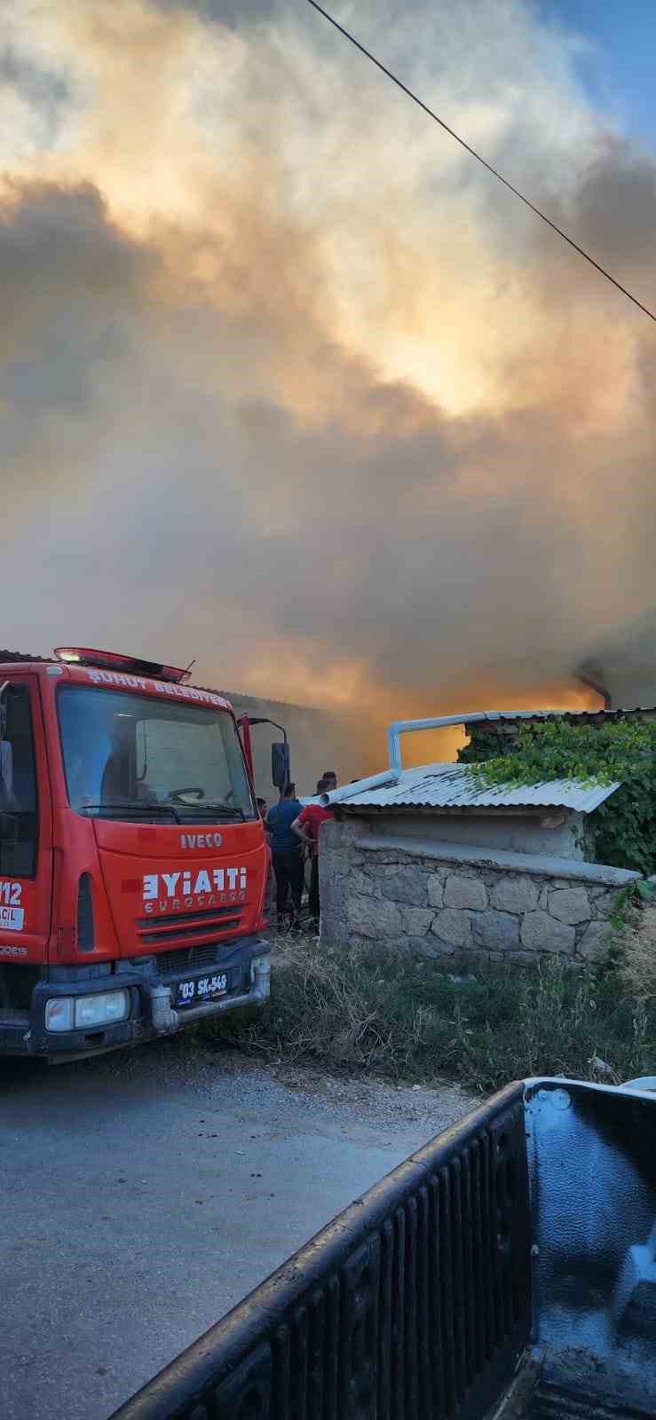 Besihanede çıkan yangında 5 büyük hayvan telef oldu
