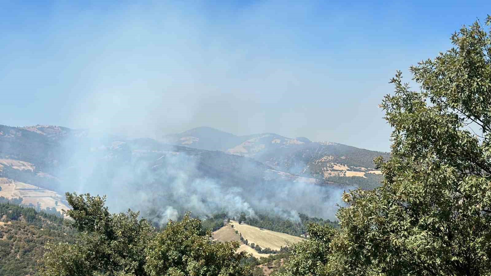 Uşak’taki orman yangınına müdahale sürüyor
