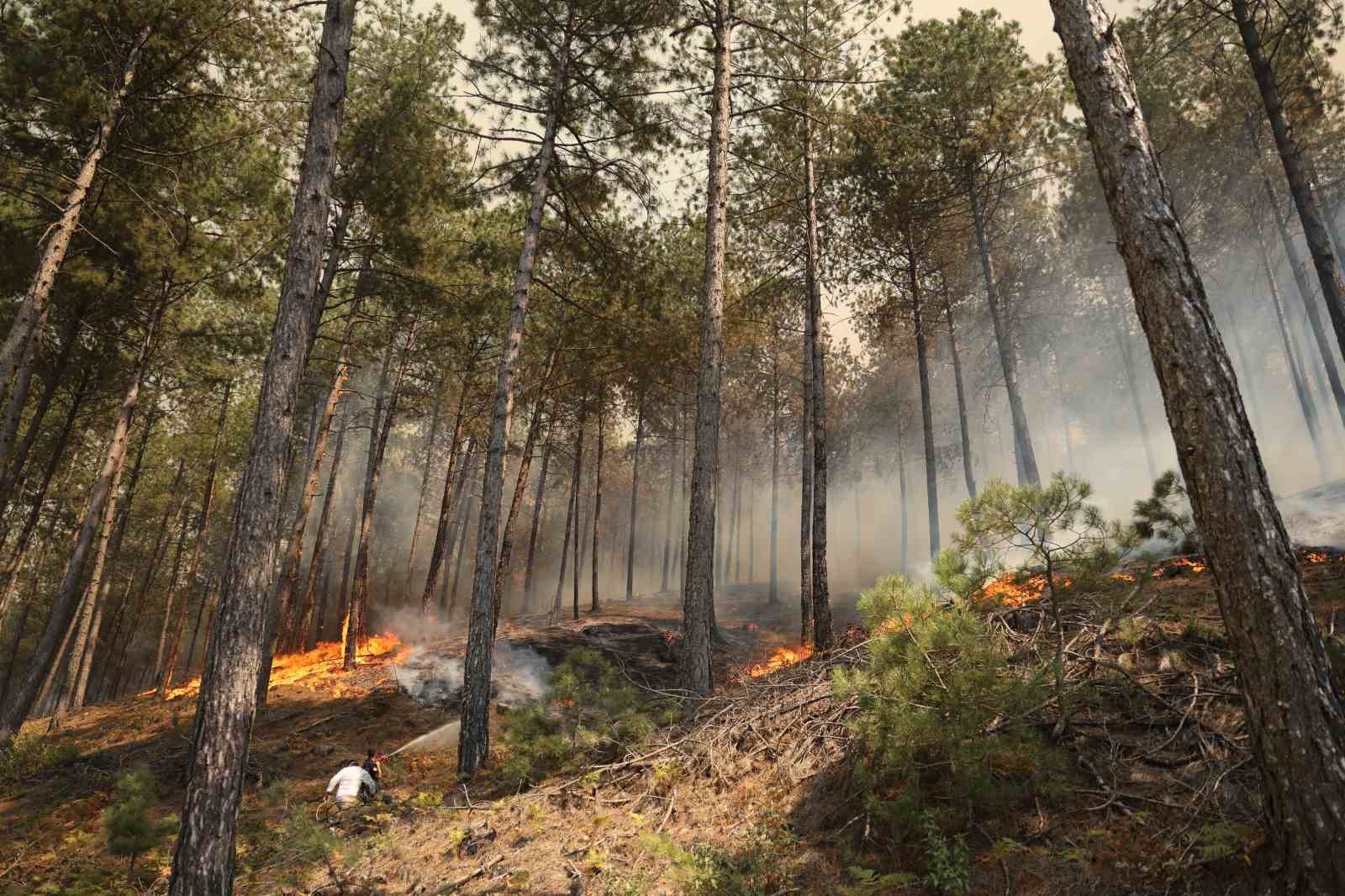 Ula’daki orman yangınına vatandaşlar su damacanaları ile destek veriyor
