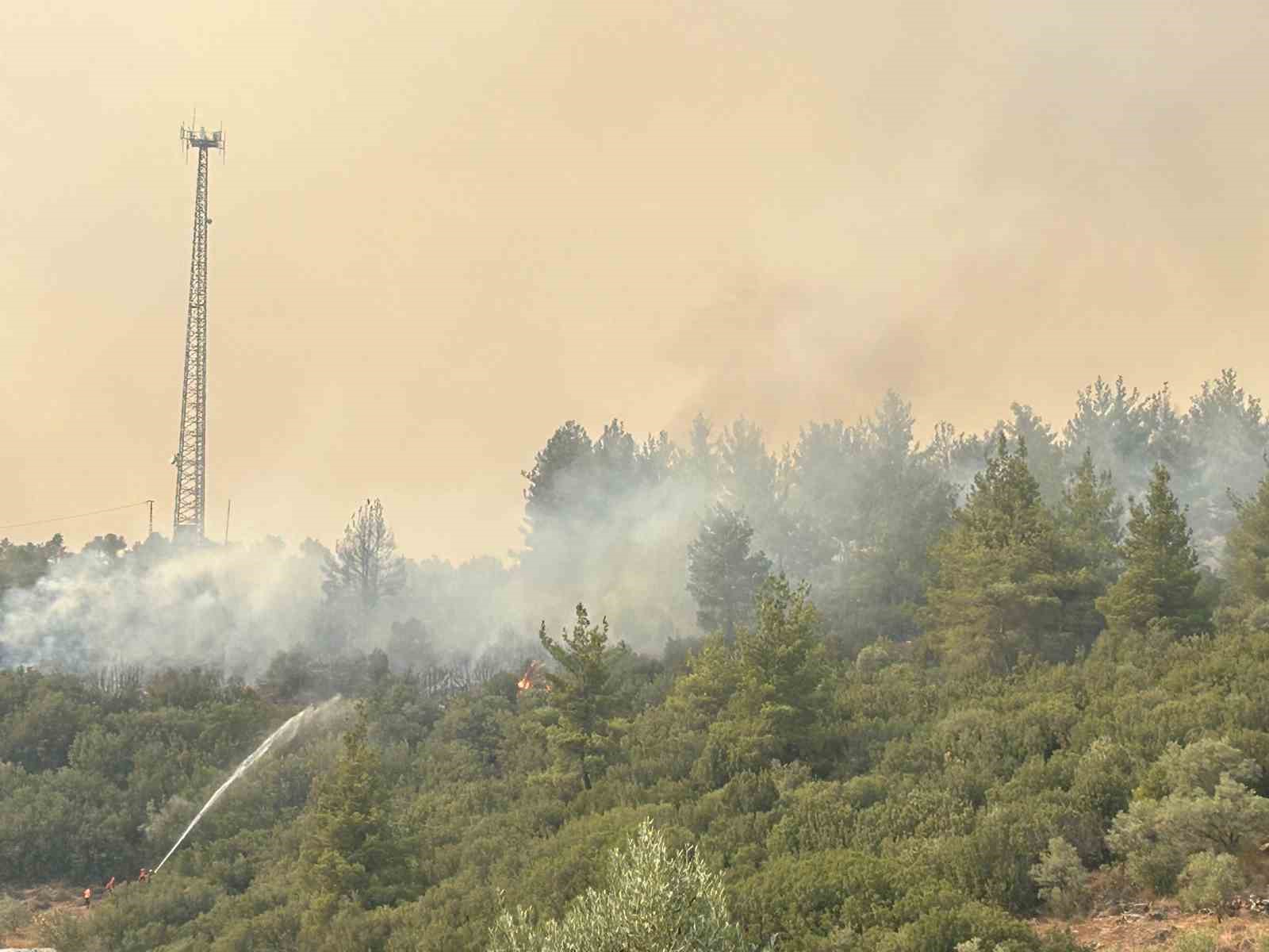 Orman yangını dolayısıyla Yatağan girişi trafiğe kapatıldı
