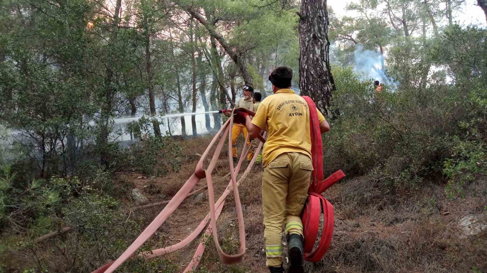 Muğla’daki orman yangınları ile mücadele 5 saattir sürüyor
