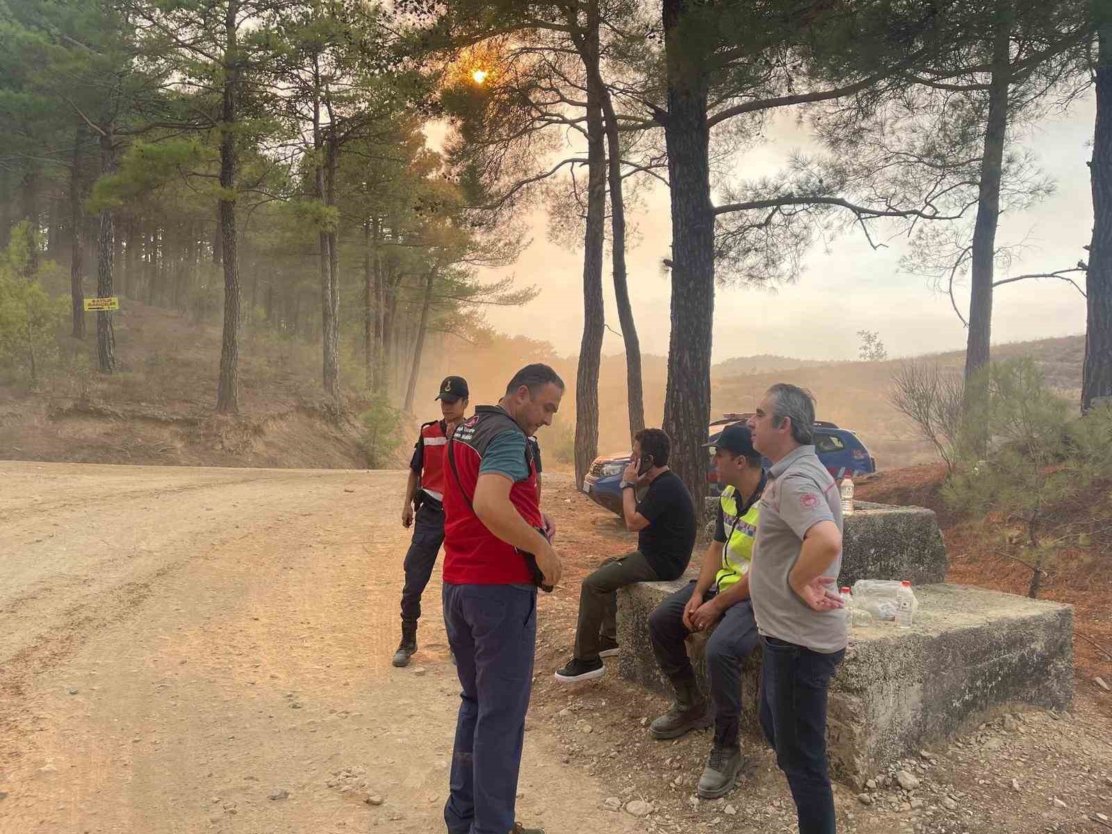 Muğla’daki yangınlar üreticiyi de vurdu
