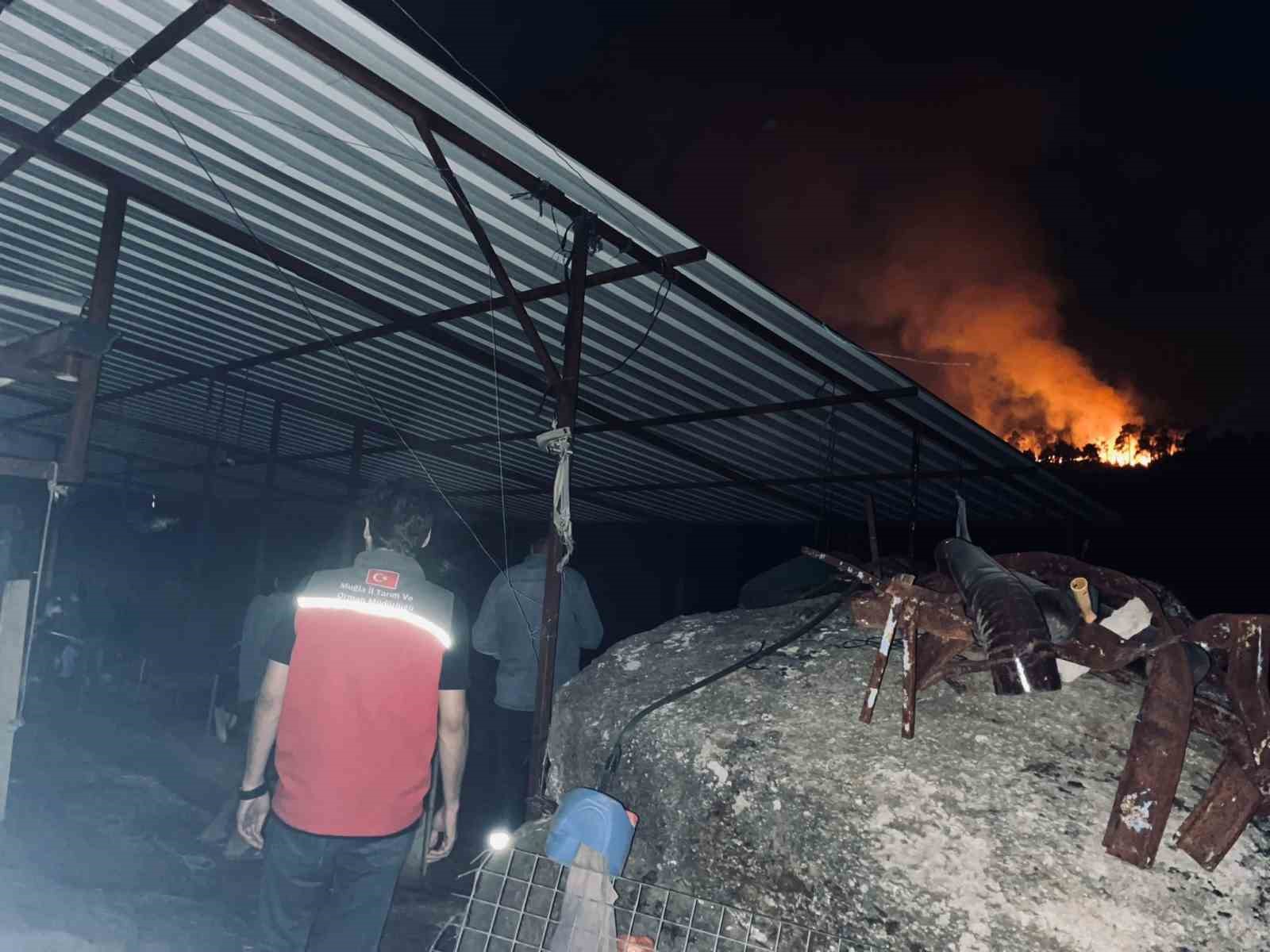 Muğla’daki yangınlar üreticiyi de vurdu
