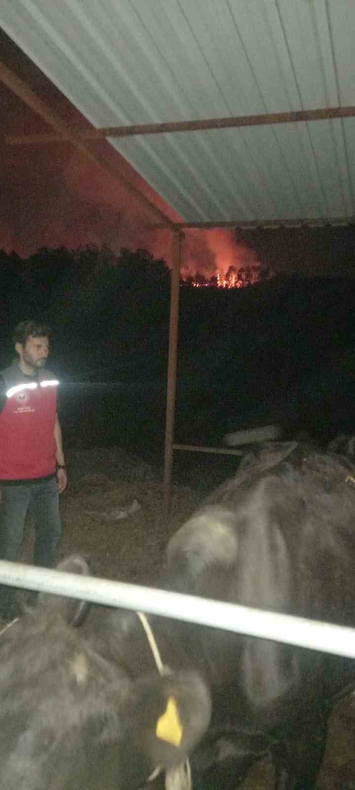 Muğla’daki yangınlar üreticiyi de vurdu
