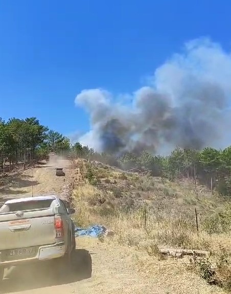 Menteşe’deki orman yangına ekiplerden hızlı müdahale
