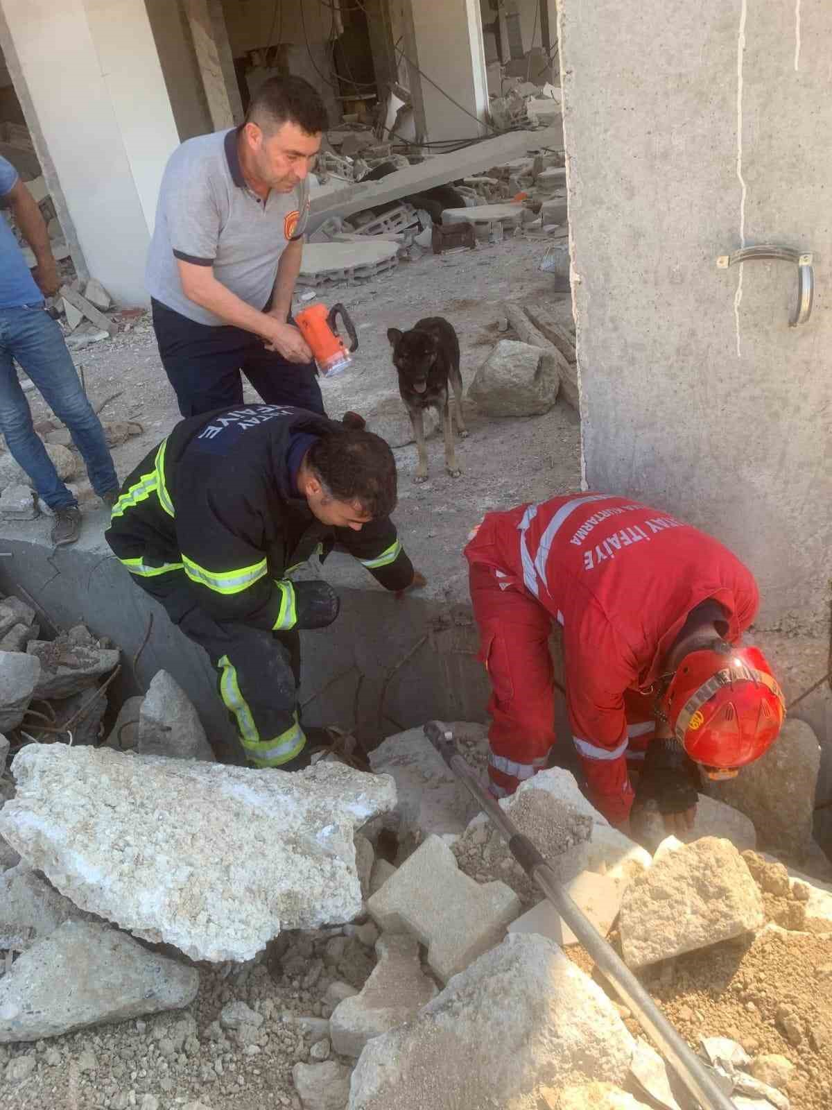 Anne köpek, yavrularını kurtaran ekiplerin başından bir an olsun ayrılmadı
