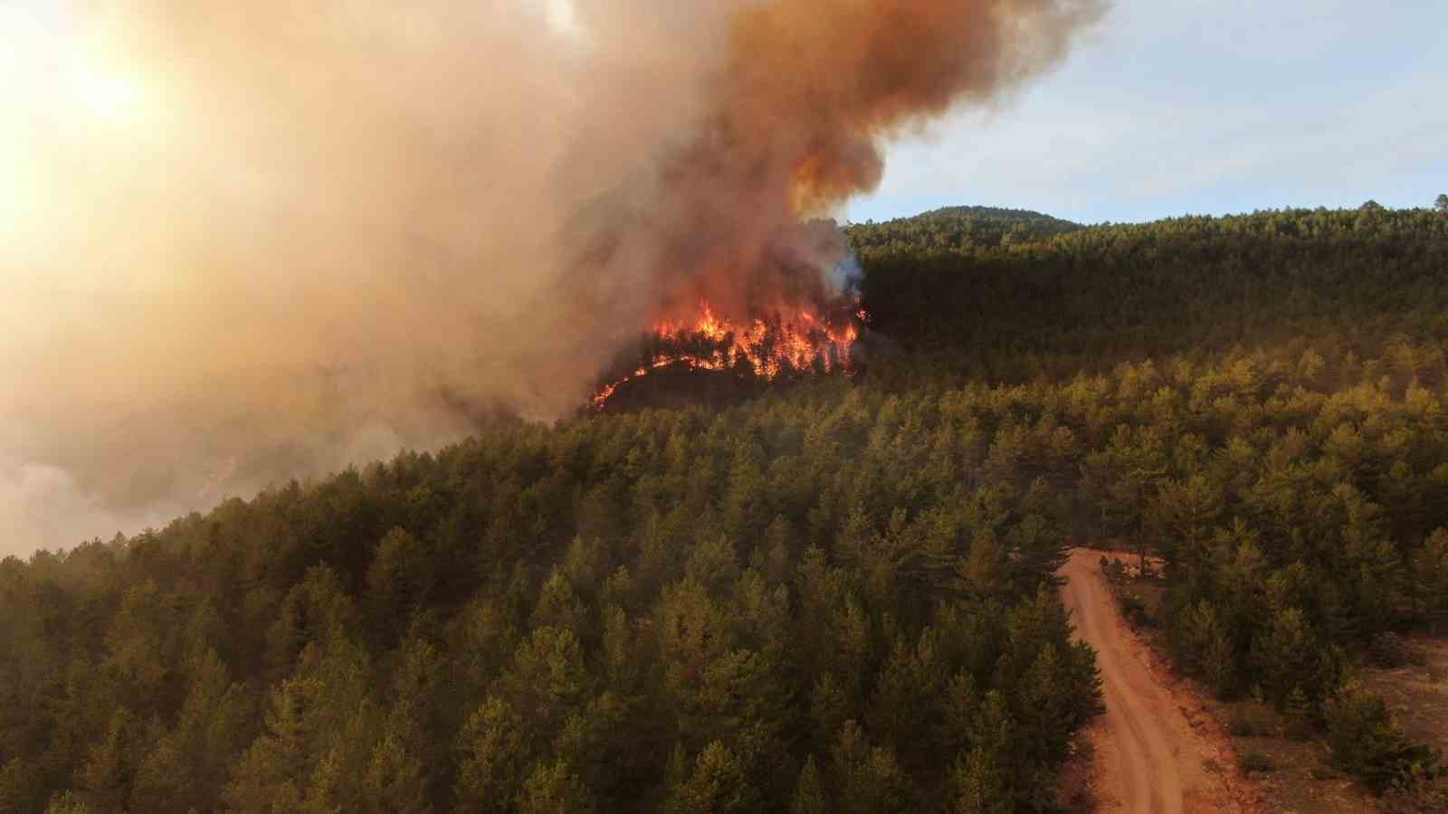 Ilgaz Dağı’nda gökyüzüne yükselen alevler havadan görüntülendi
