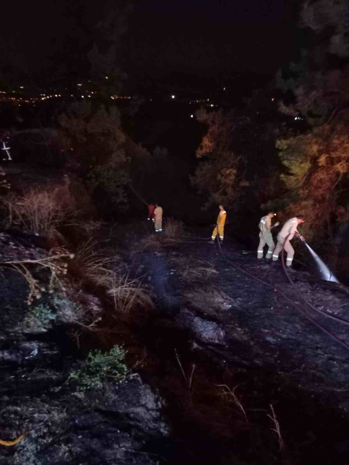 Bursa’da korkutan orman yangını
