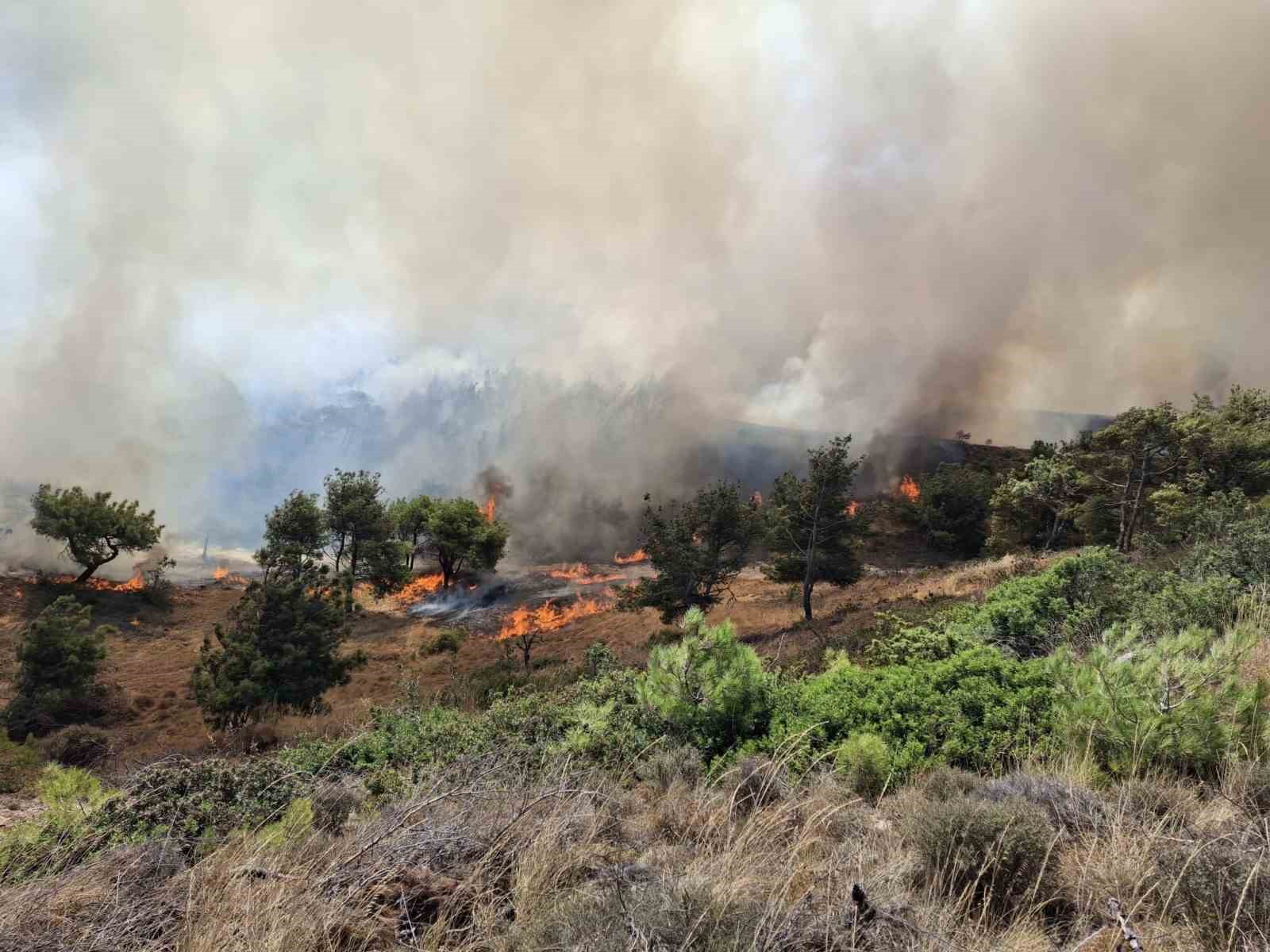 Bozcaada’da otluk alanı ateşe veren bir kişi güvenlik kamerasına yansıdı
