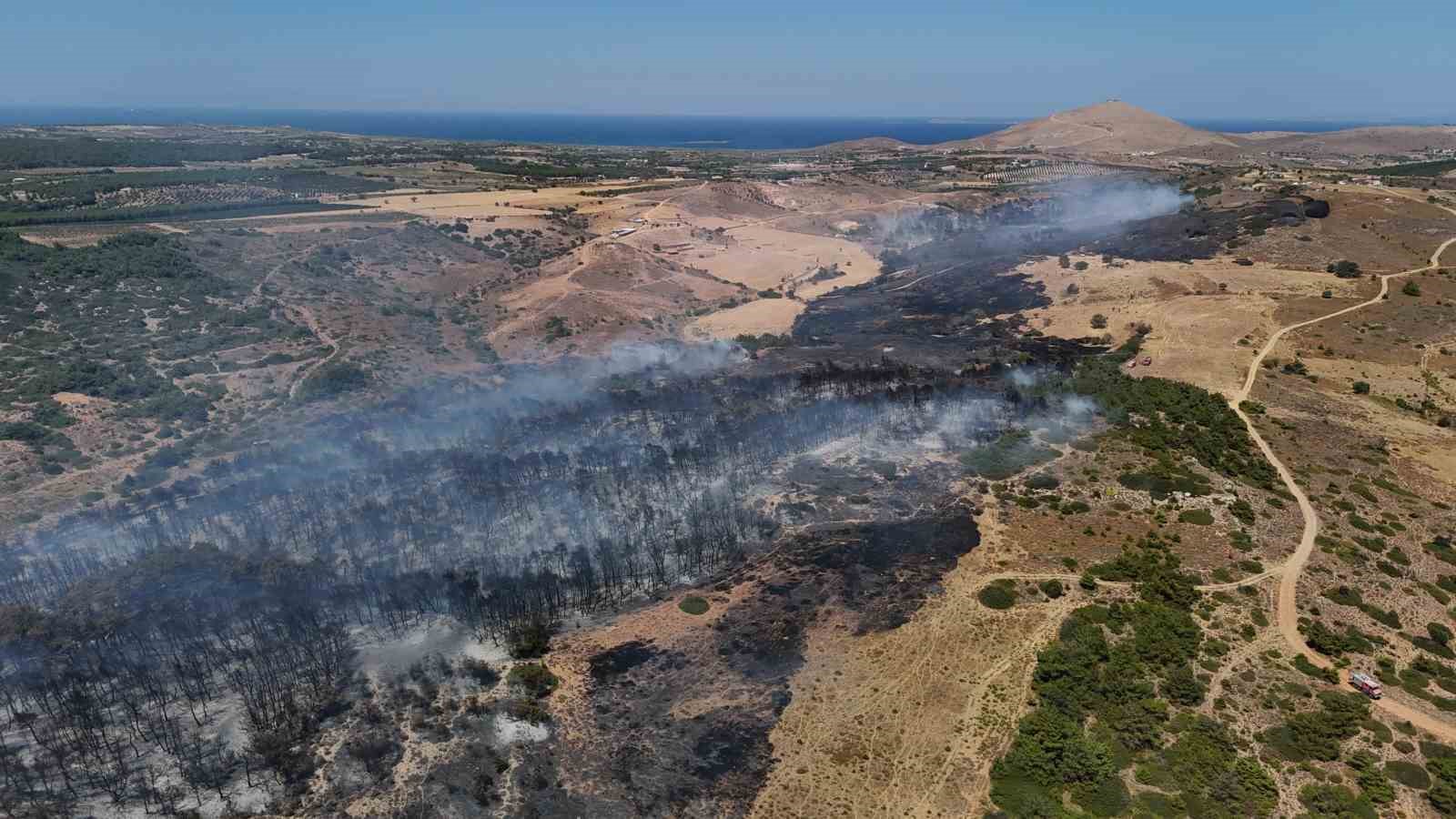 Bozcaada’da otluk alanı ateşe veren bir kişi güvenlik kamerasına yansıdı
