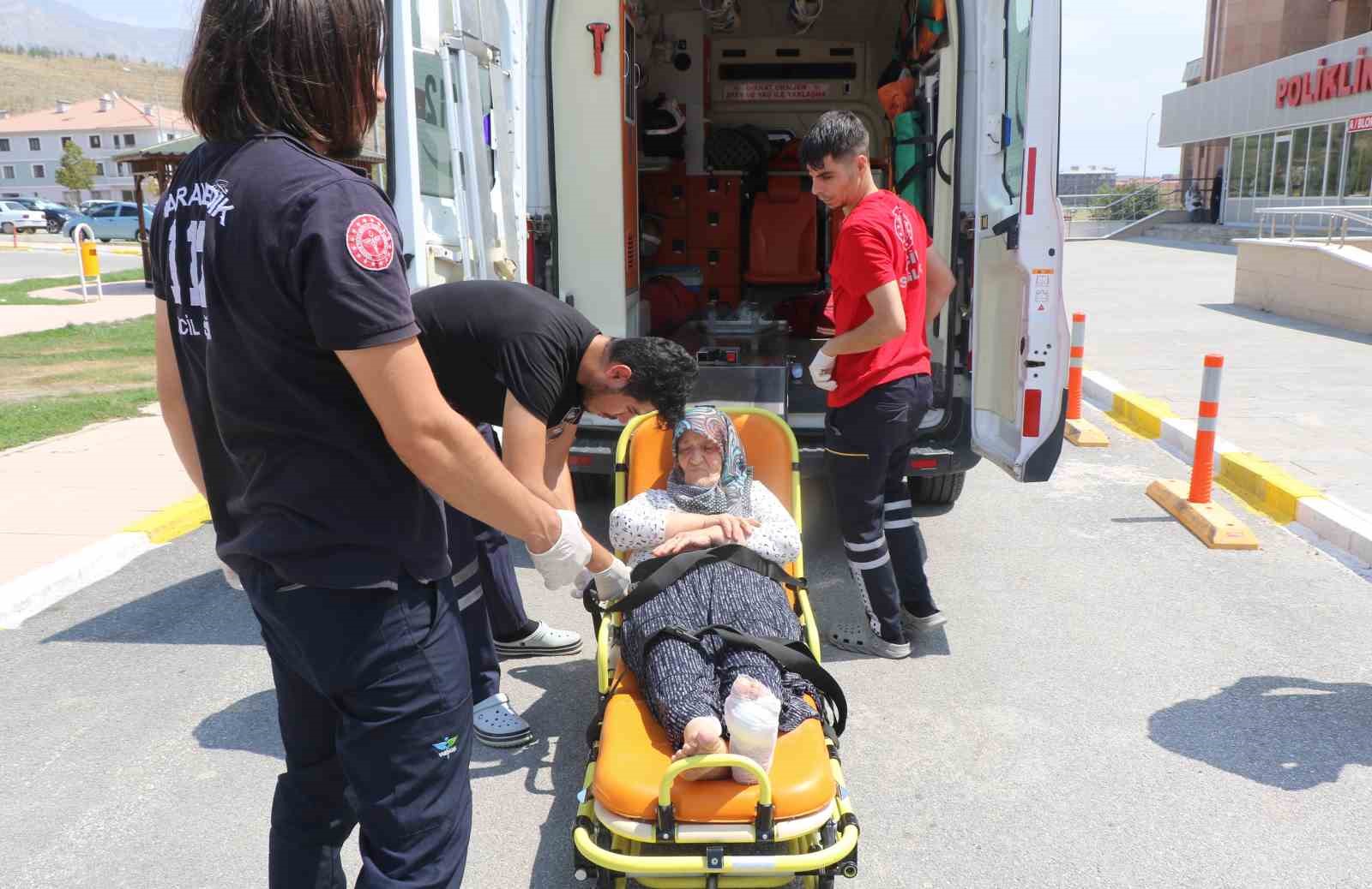 Başıboş köpeklerin saldırısına uğrayıp yaralanan kadın dehşet anlarını anlattı
