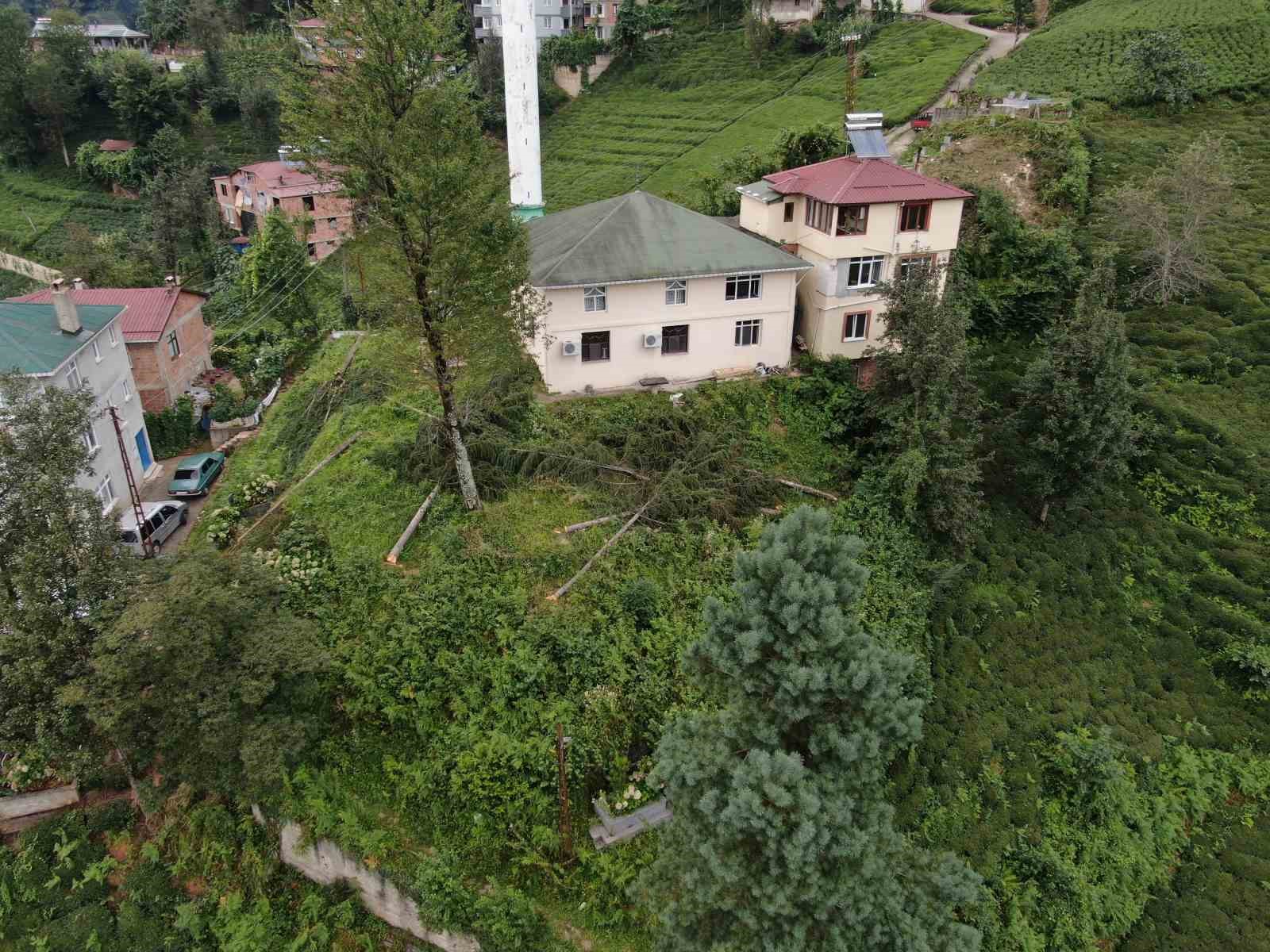 800 yıllık camiyi kurtarmak için çevresindeki ağaçları kestiler
