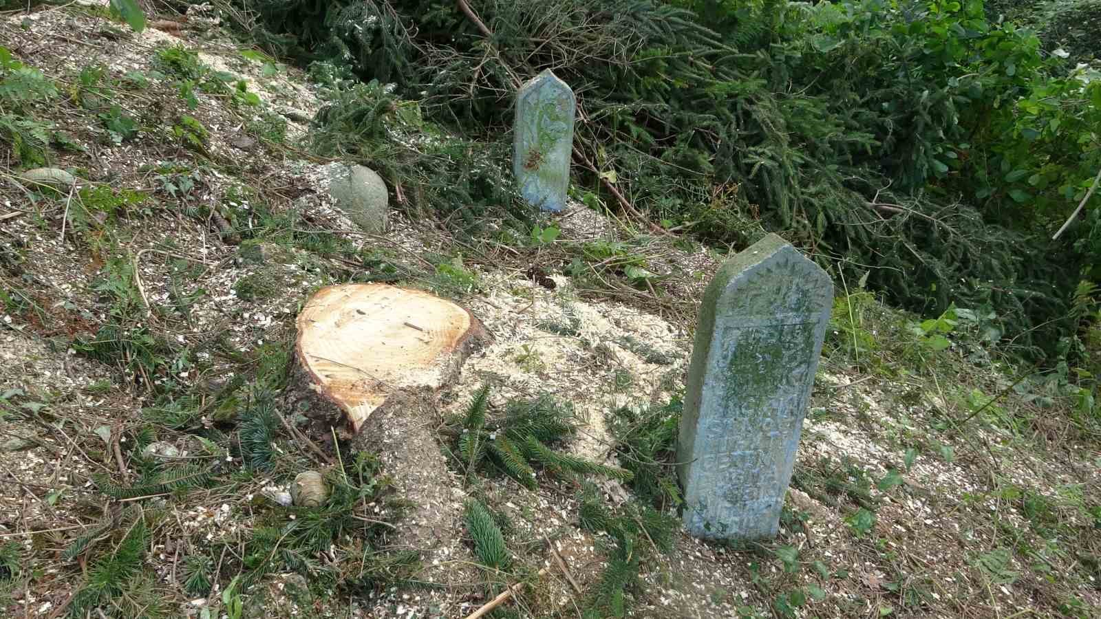 800 yıllık camiyi kurtarmak için çevresindeki ağaçları kestiler
