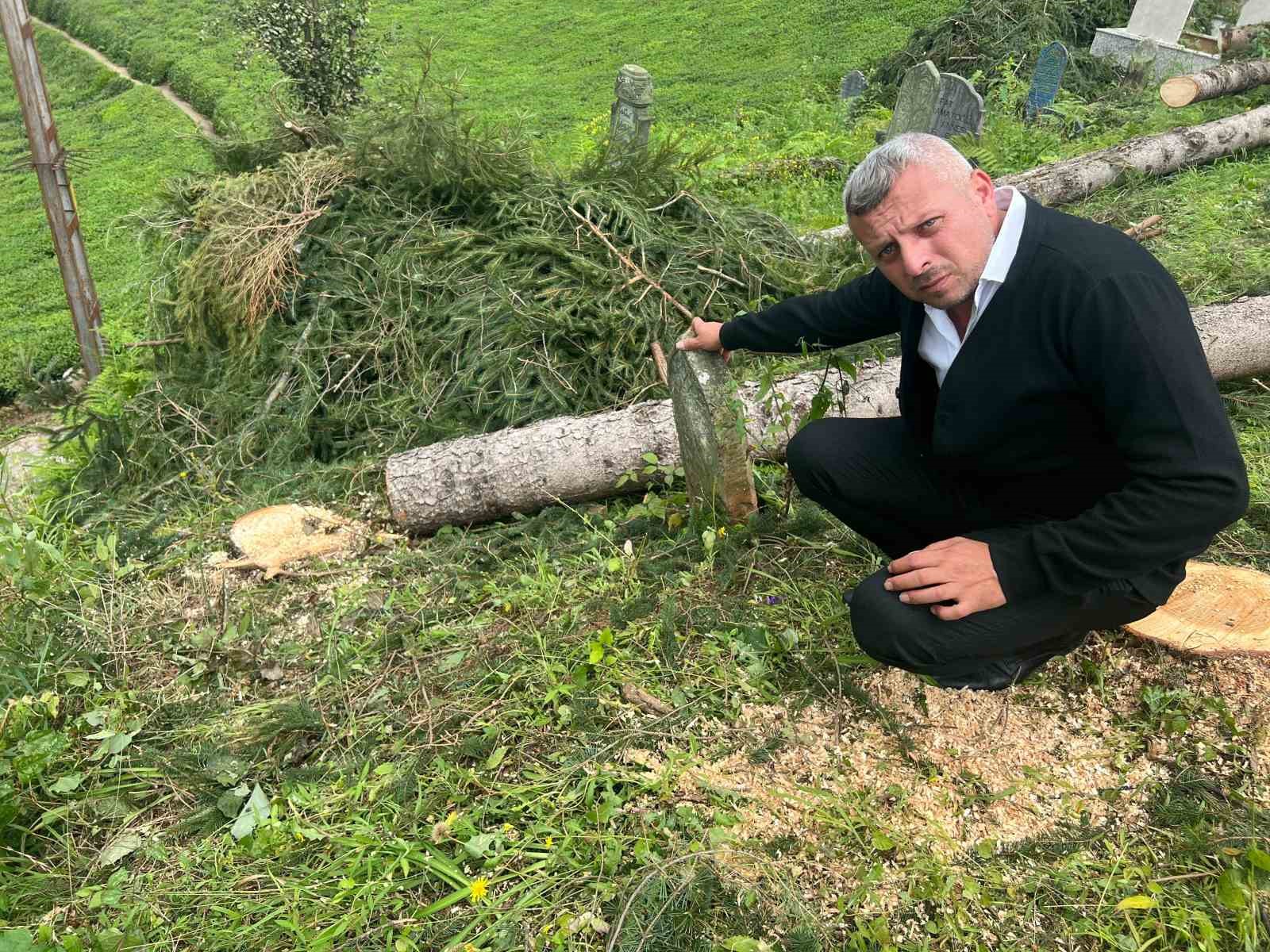 800 yıllık camiyi kurtarmak için çevresindeki ağaçları kestiler
