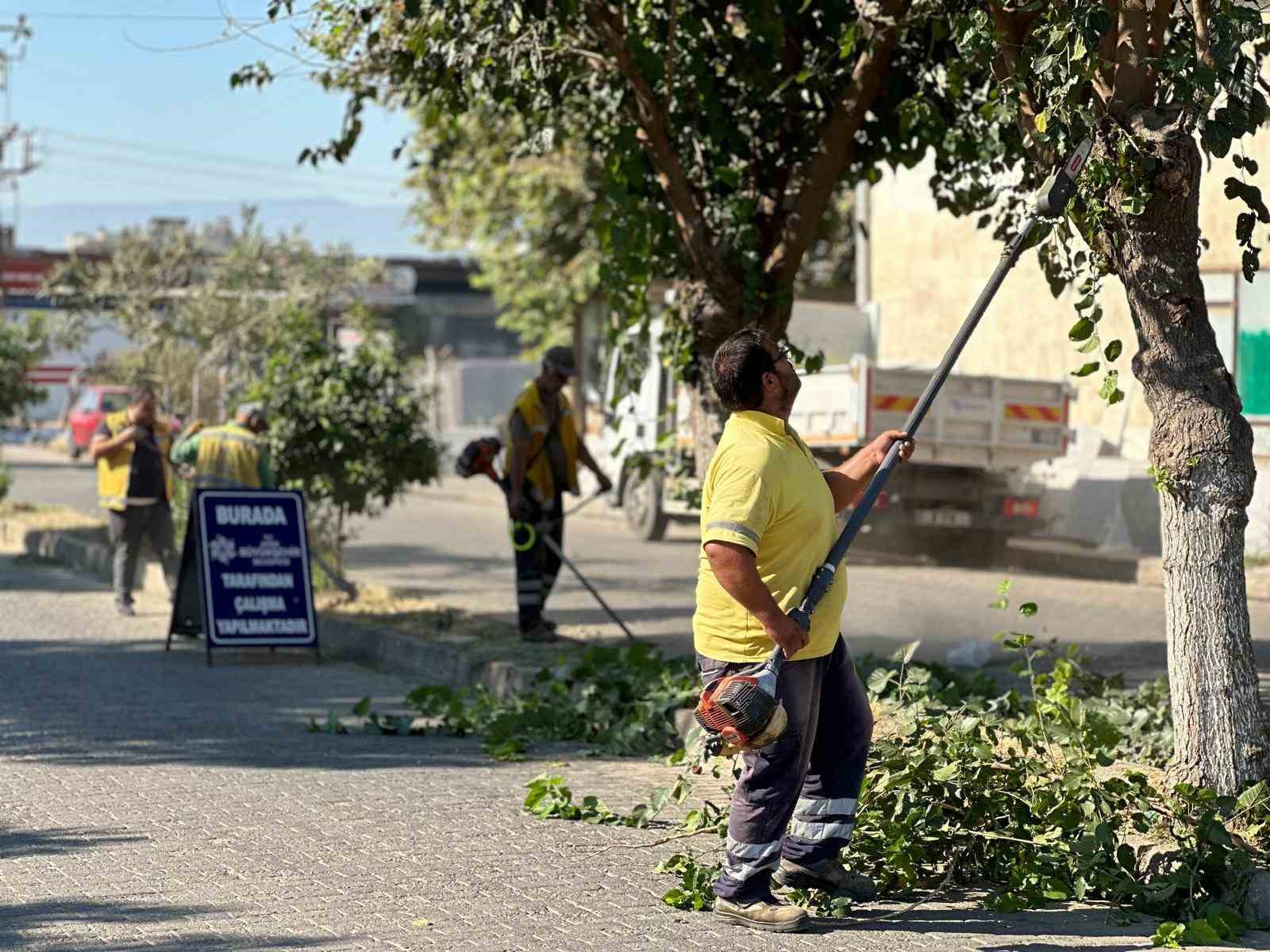 Aydın Büyükşehir Belediyesi’nden çevre bakımı seferberliği
