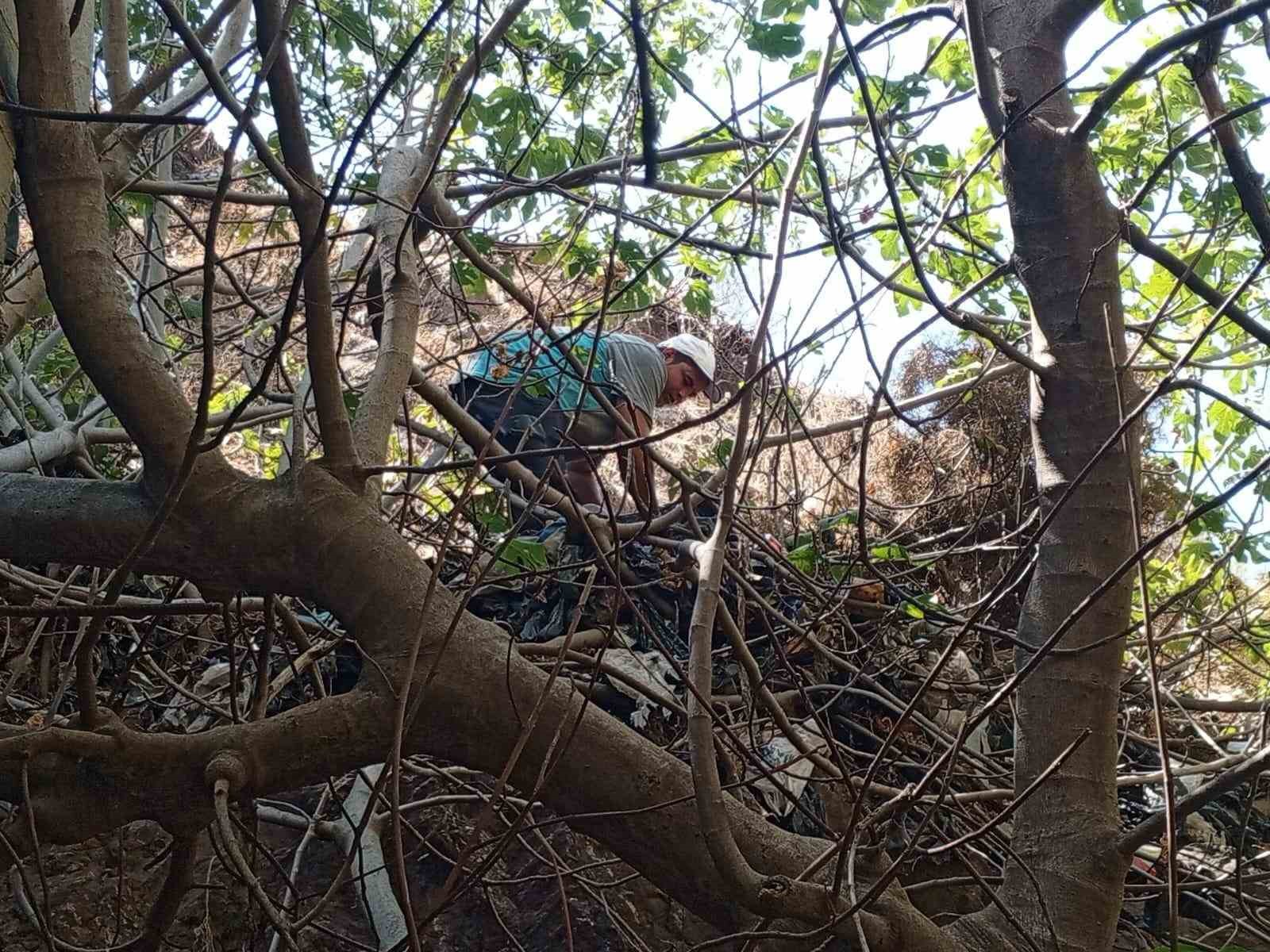 Marmaris’te seyir tepelerinin temizliğine devam edildi
