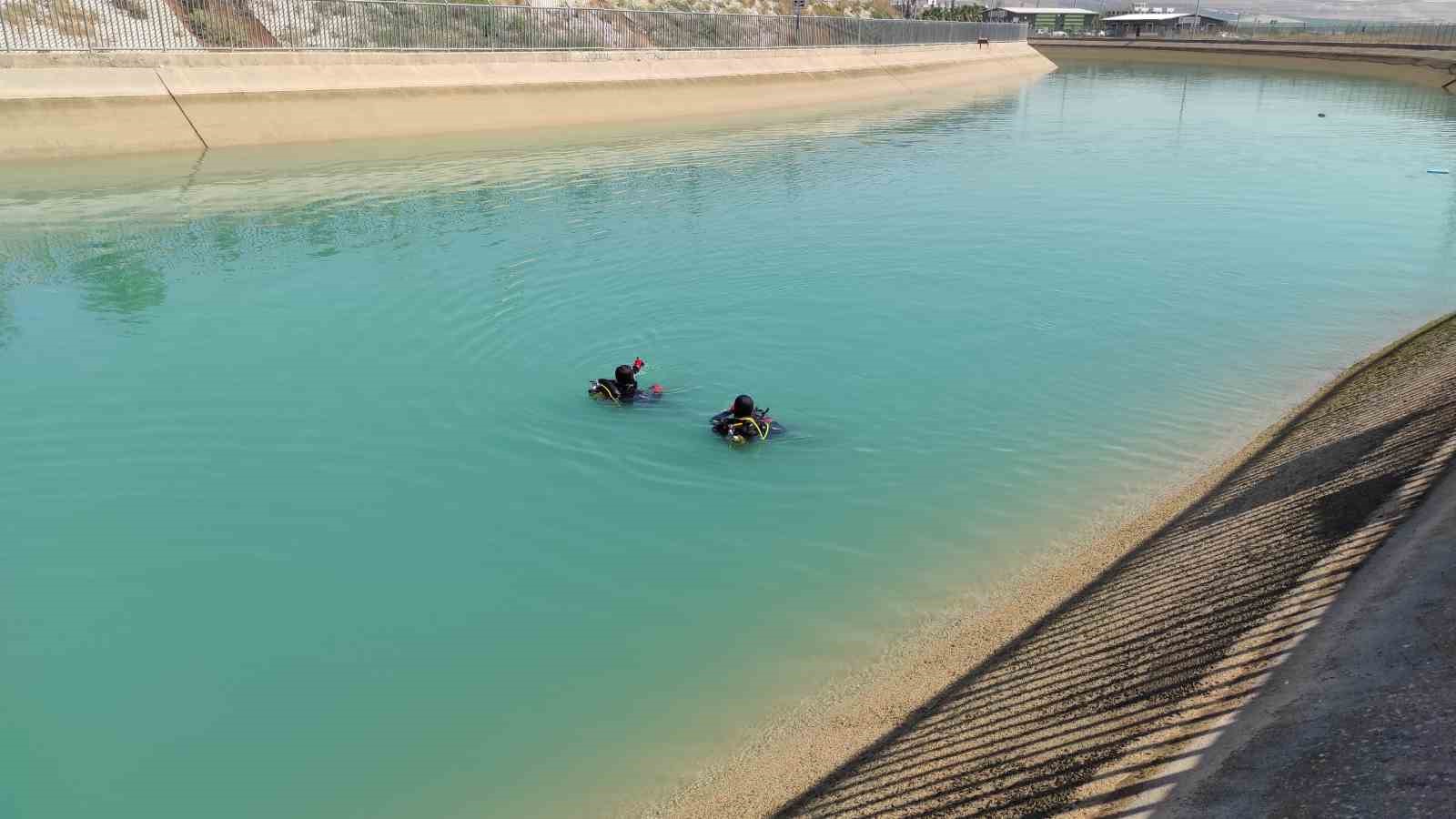 Şanlıurfa’da sulama kanalında görülen dev kaplumbağa ekipleri harekete geçirdi
