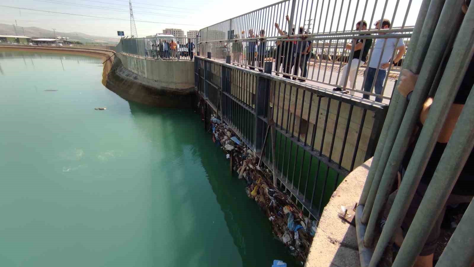 Şanlıurfa’da sulama kanalında görülen dev kaplumbağa ekipleri harekete geçirdi
