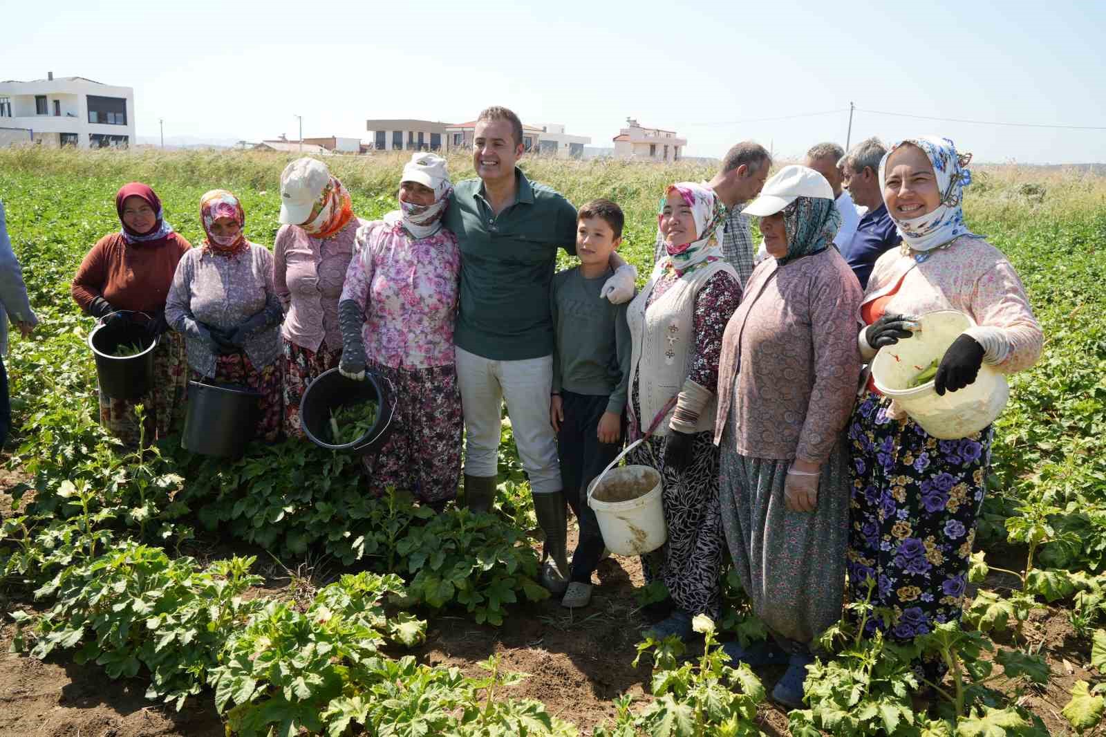 Balıkesir’de alım garantili bamya hasadı başladı
