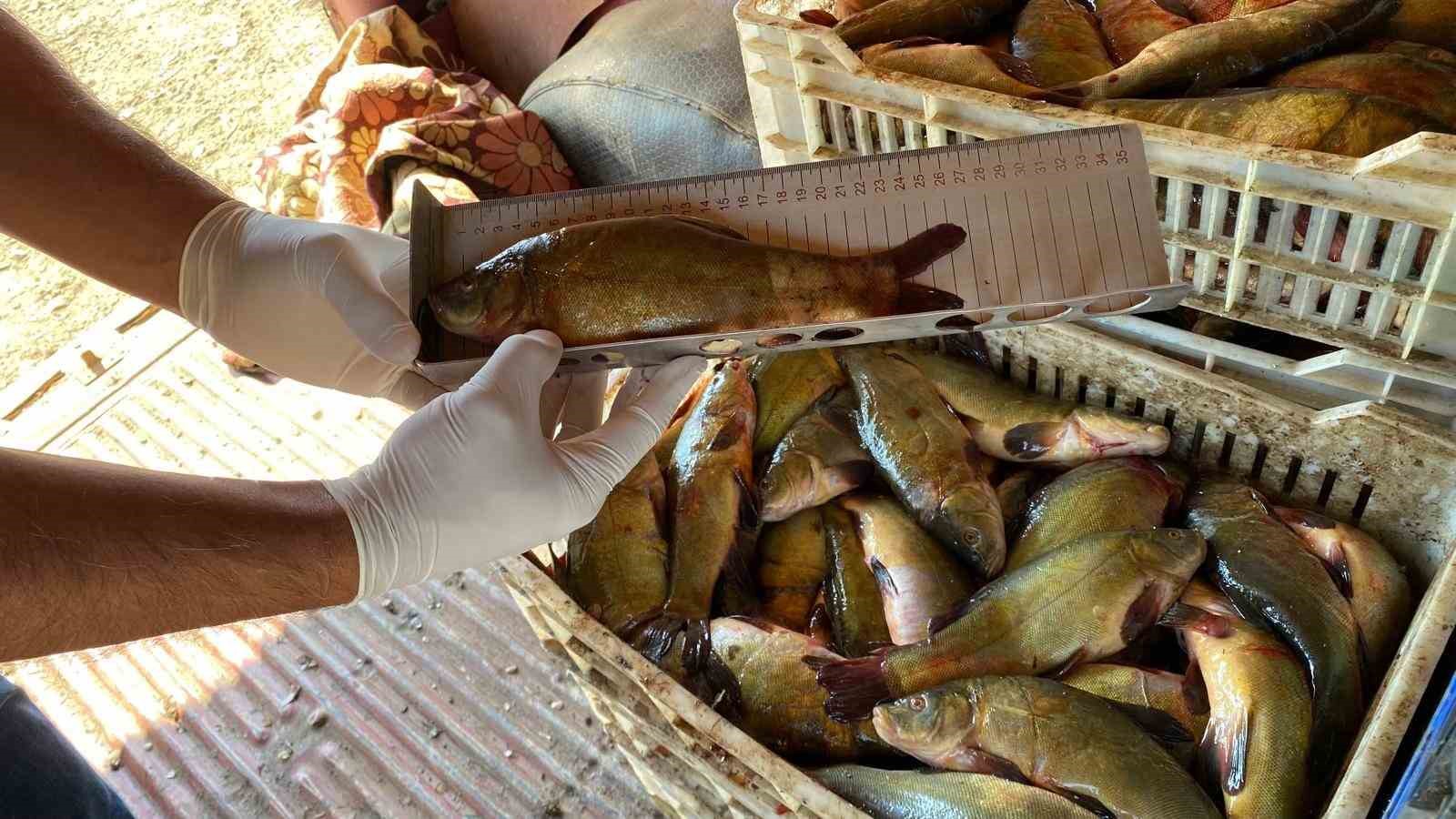 Beyşehir Gölü’nde balık boy yasağı denetimleri
